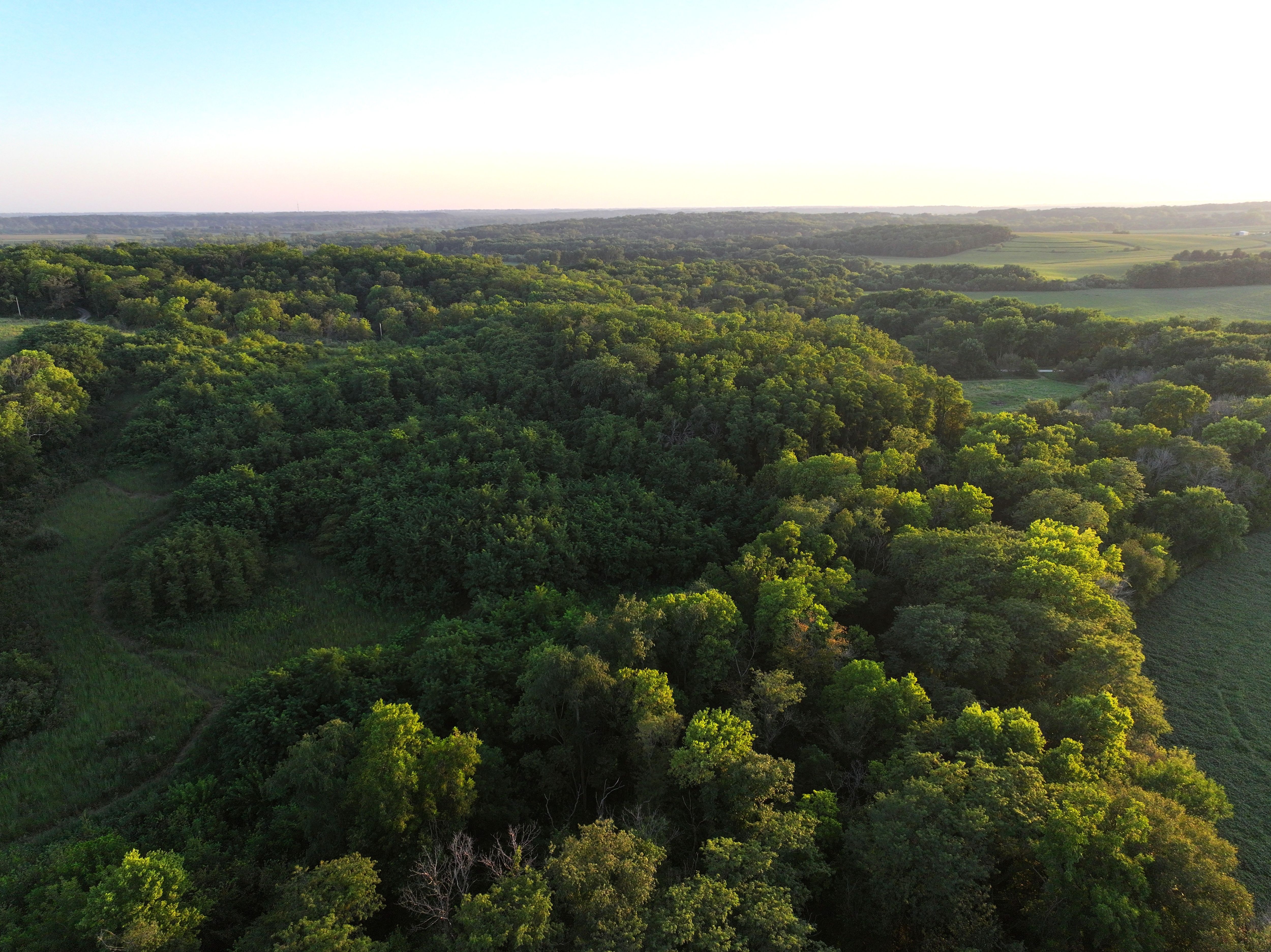 Listing Photo: DJI_20260901194516_0033_D-1