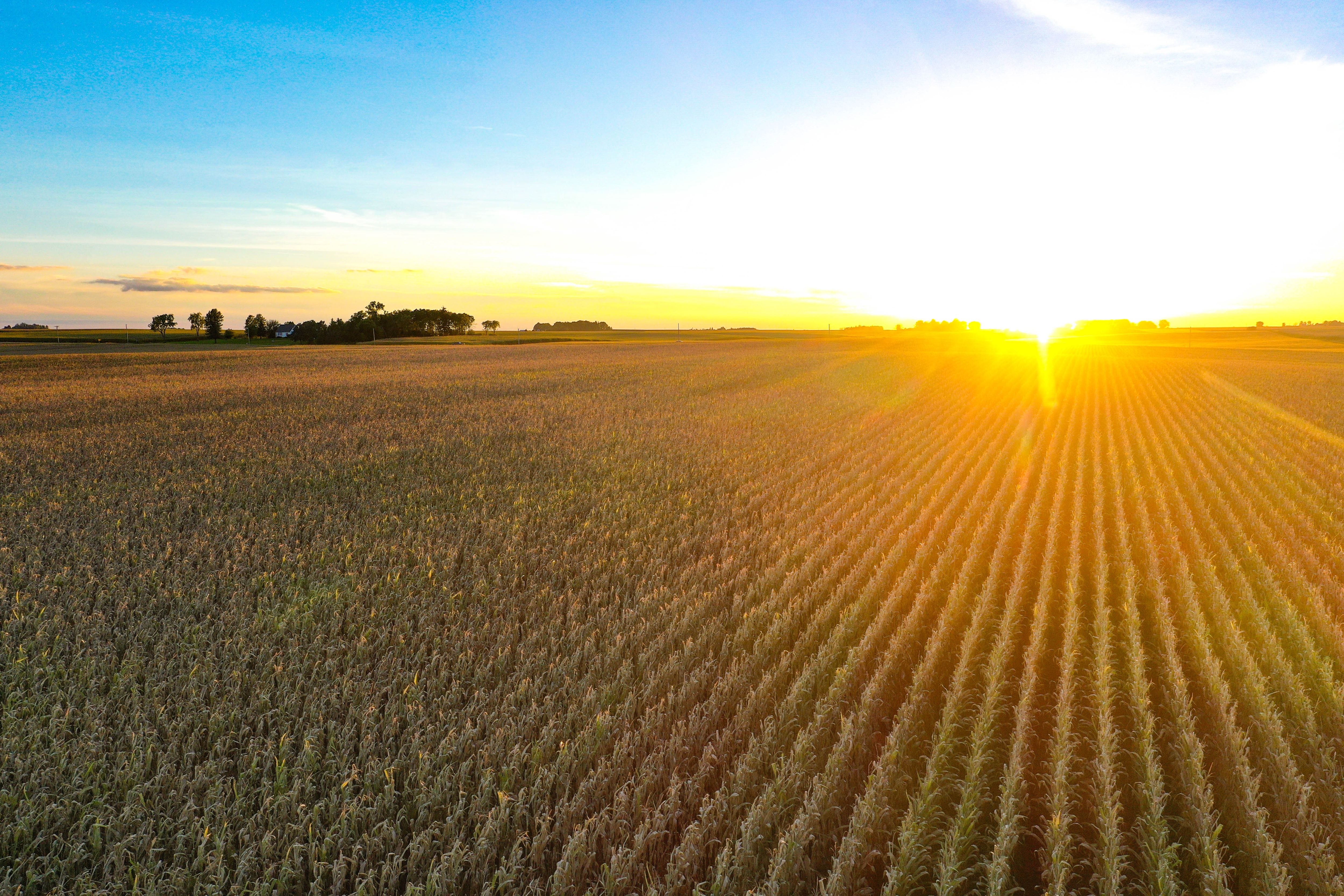 Listing Photo: 4-Butler County Farmland Auction