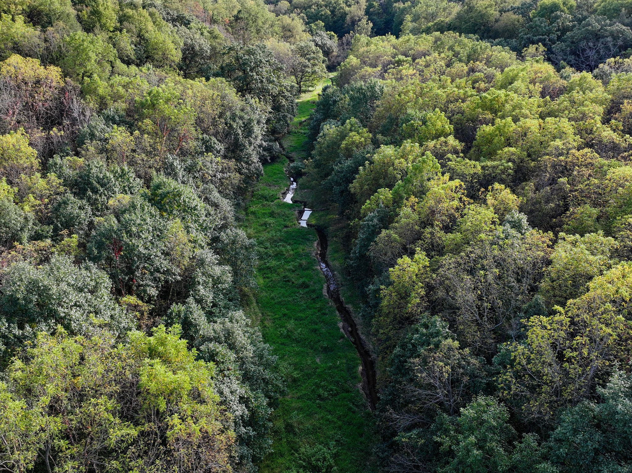 Listing Photo: DJI_20260928164113_0030_D
