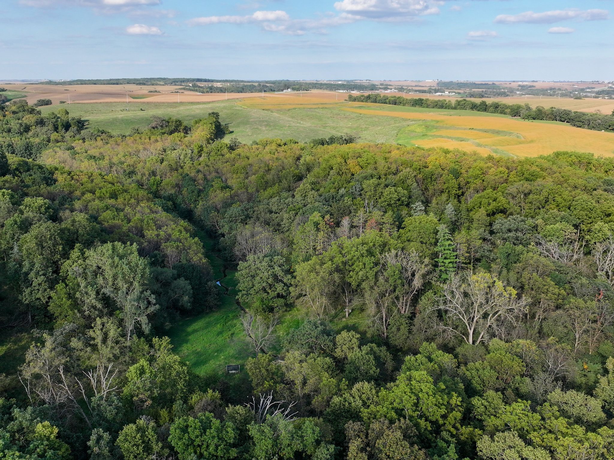 Listing Photo: DJI_20260928164337_0033_D