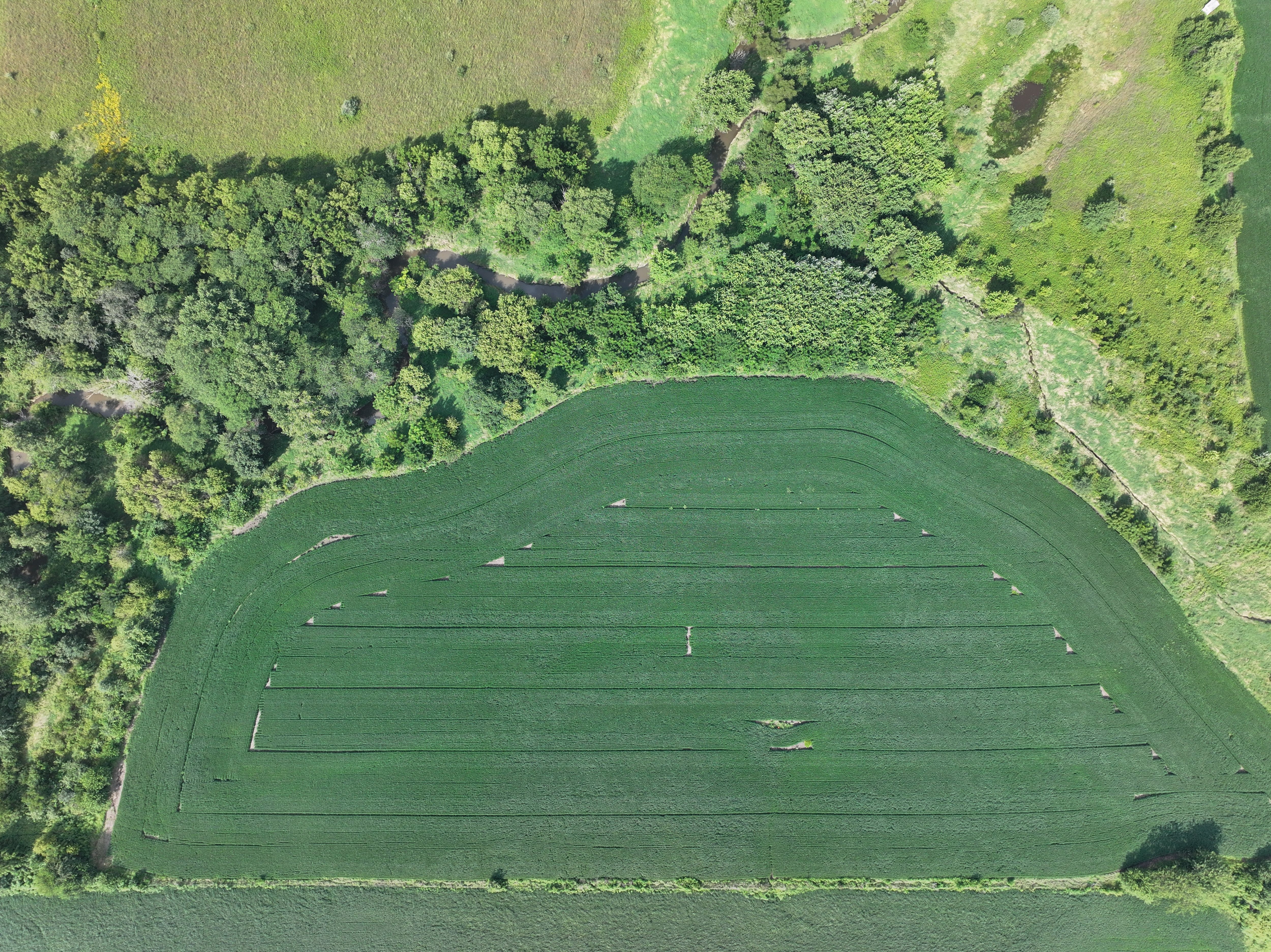 Listing Photo: DJI_20260821101449_0067_D