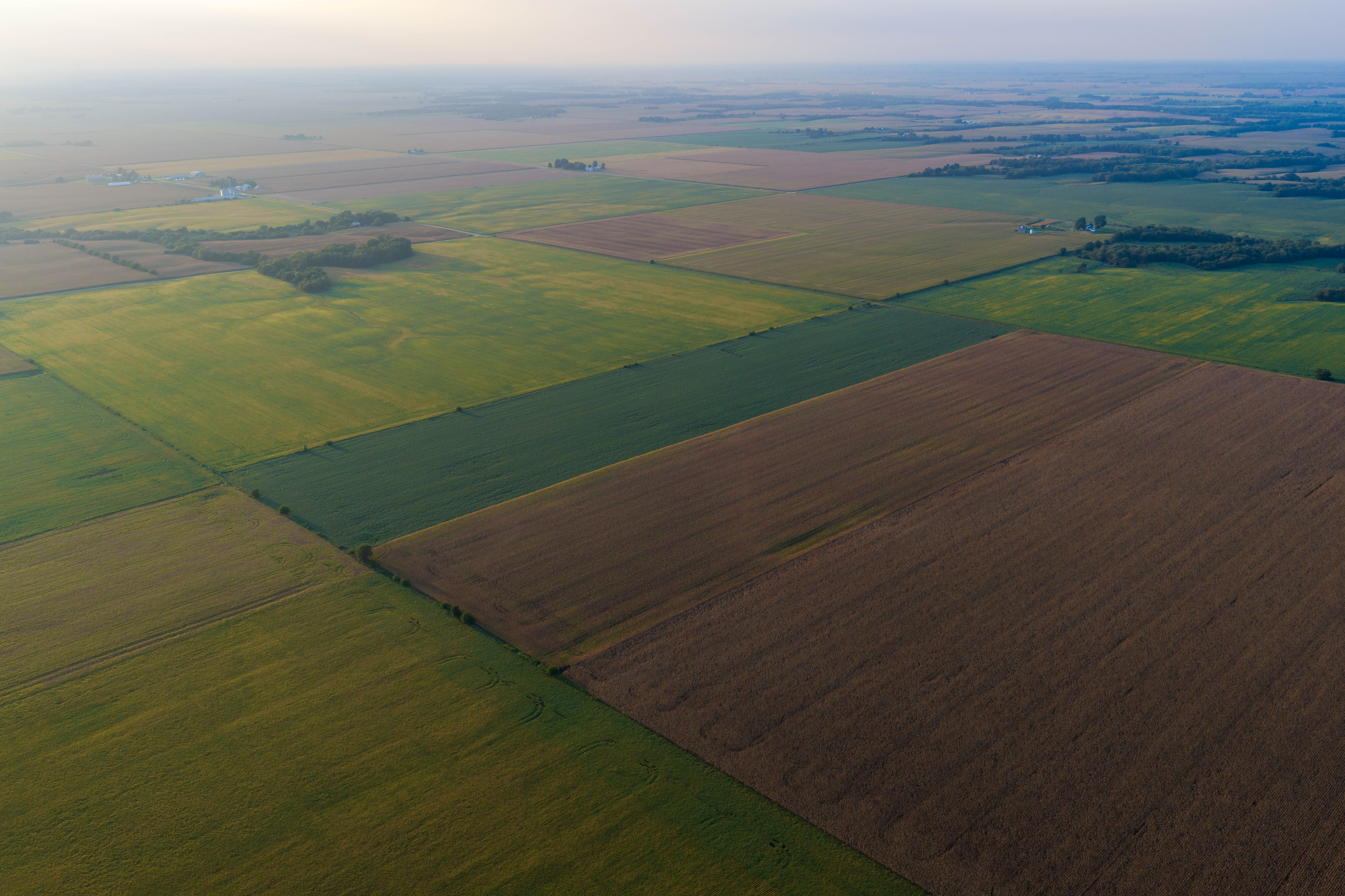 Listing Photo: 80.52-Acres-Warren-County-Illinois(5)