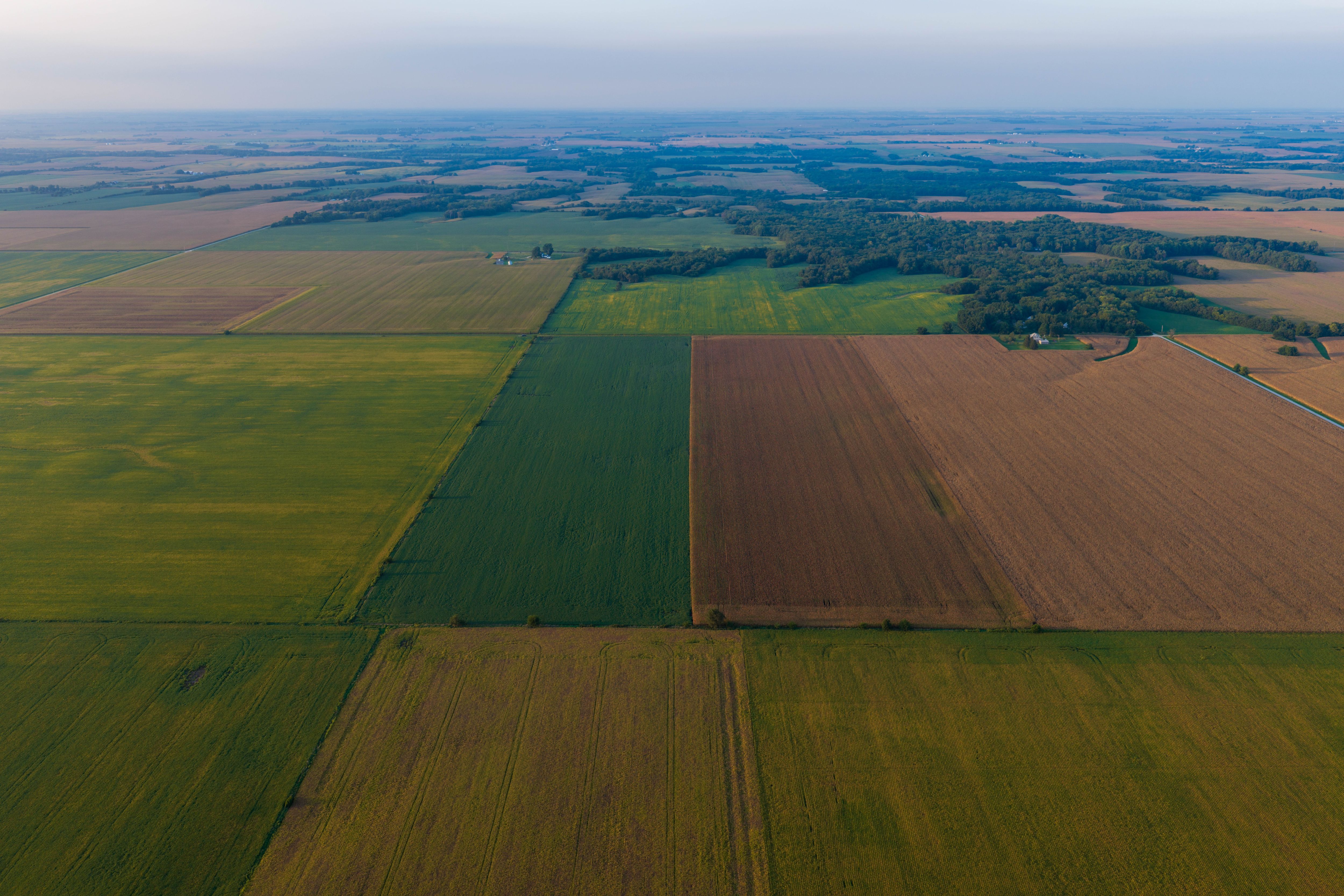 Listing Photo: 80.52-Acres-Warren-County-Illinois(6)