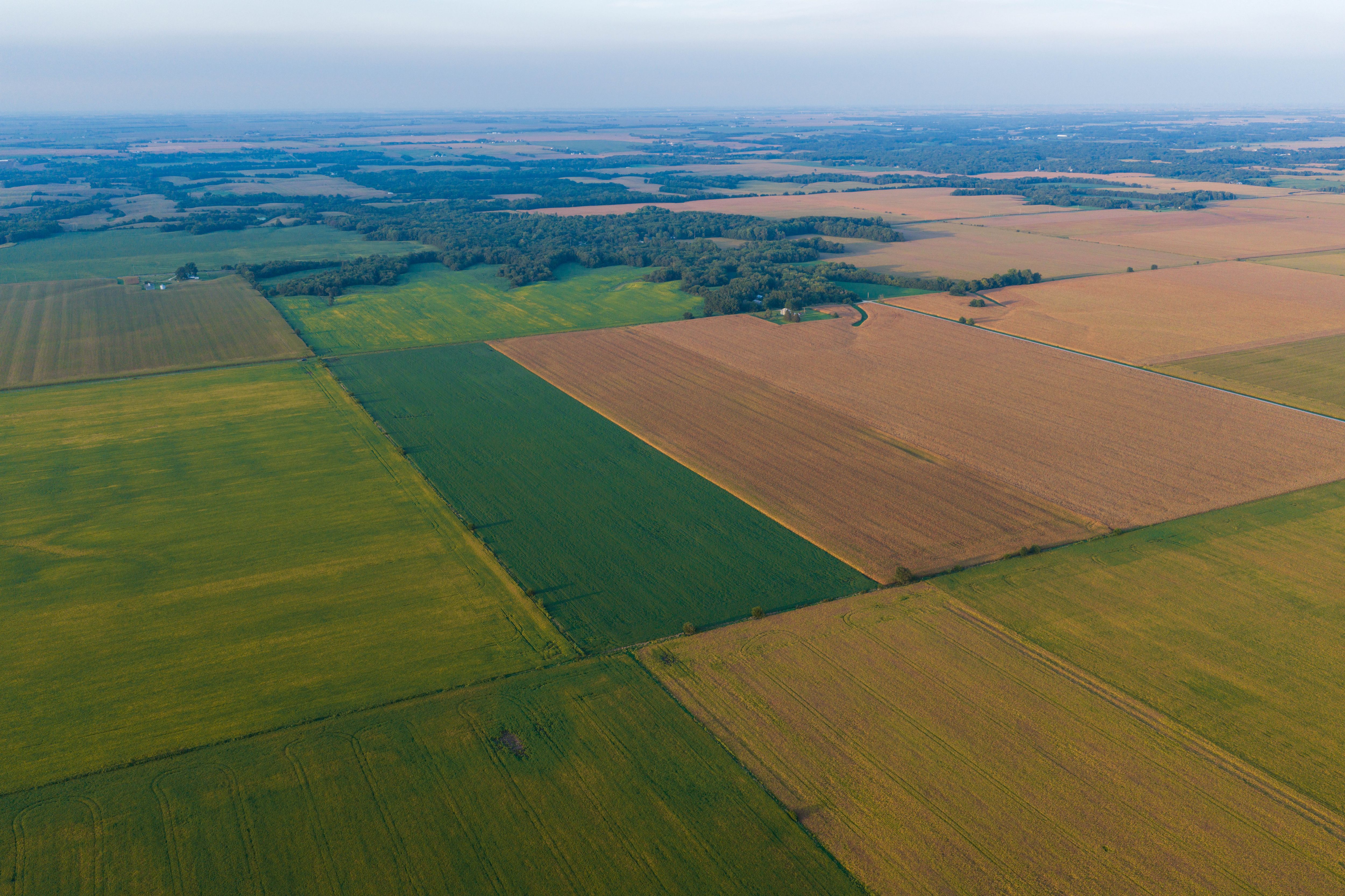 Listing Photo: 80.52-Acres-Warren-County-Illinois(7)