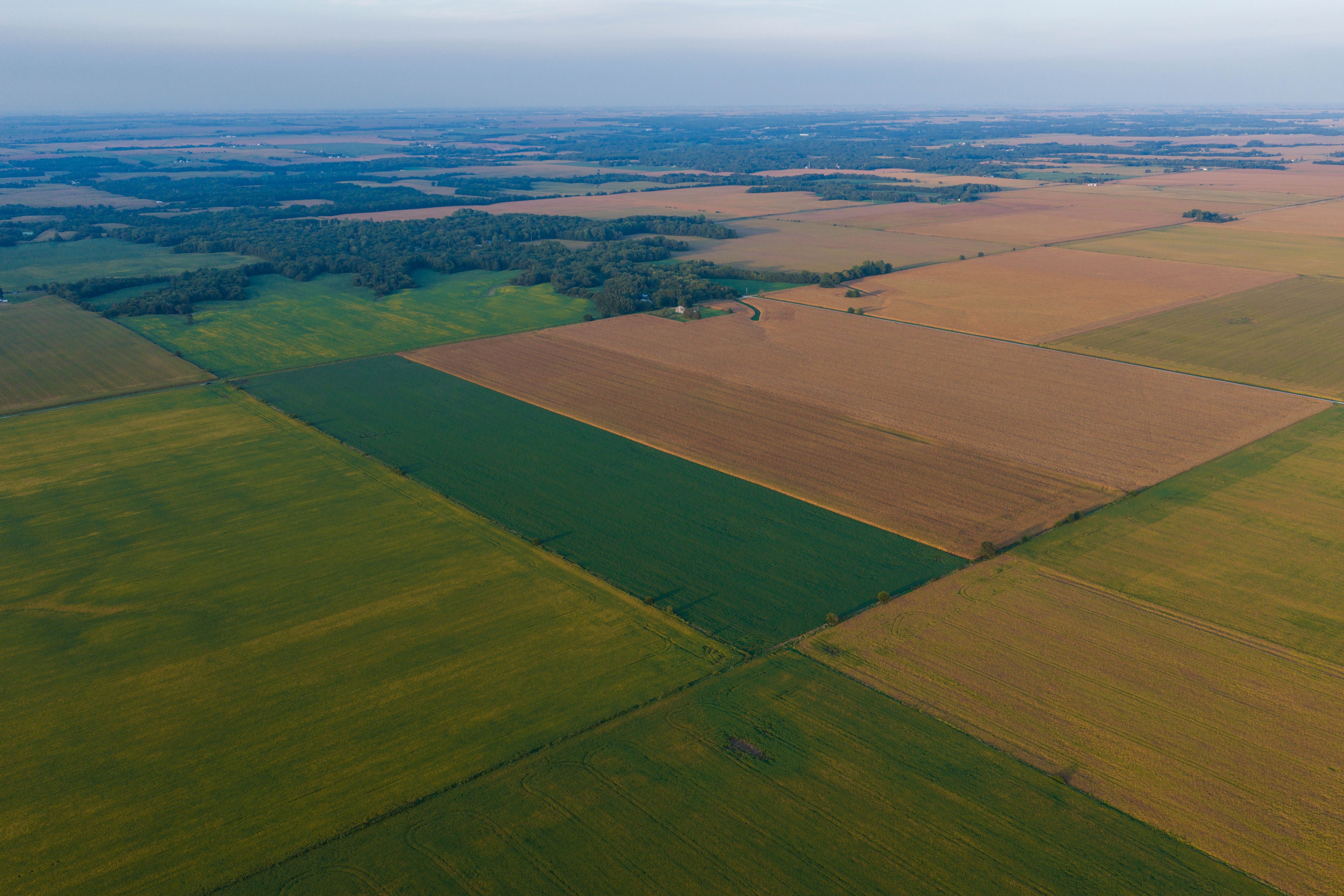 Listing Photo: 80.52-Acres-Warren-County-Illinois(8)