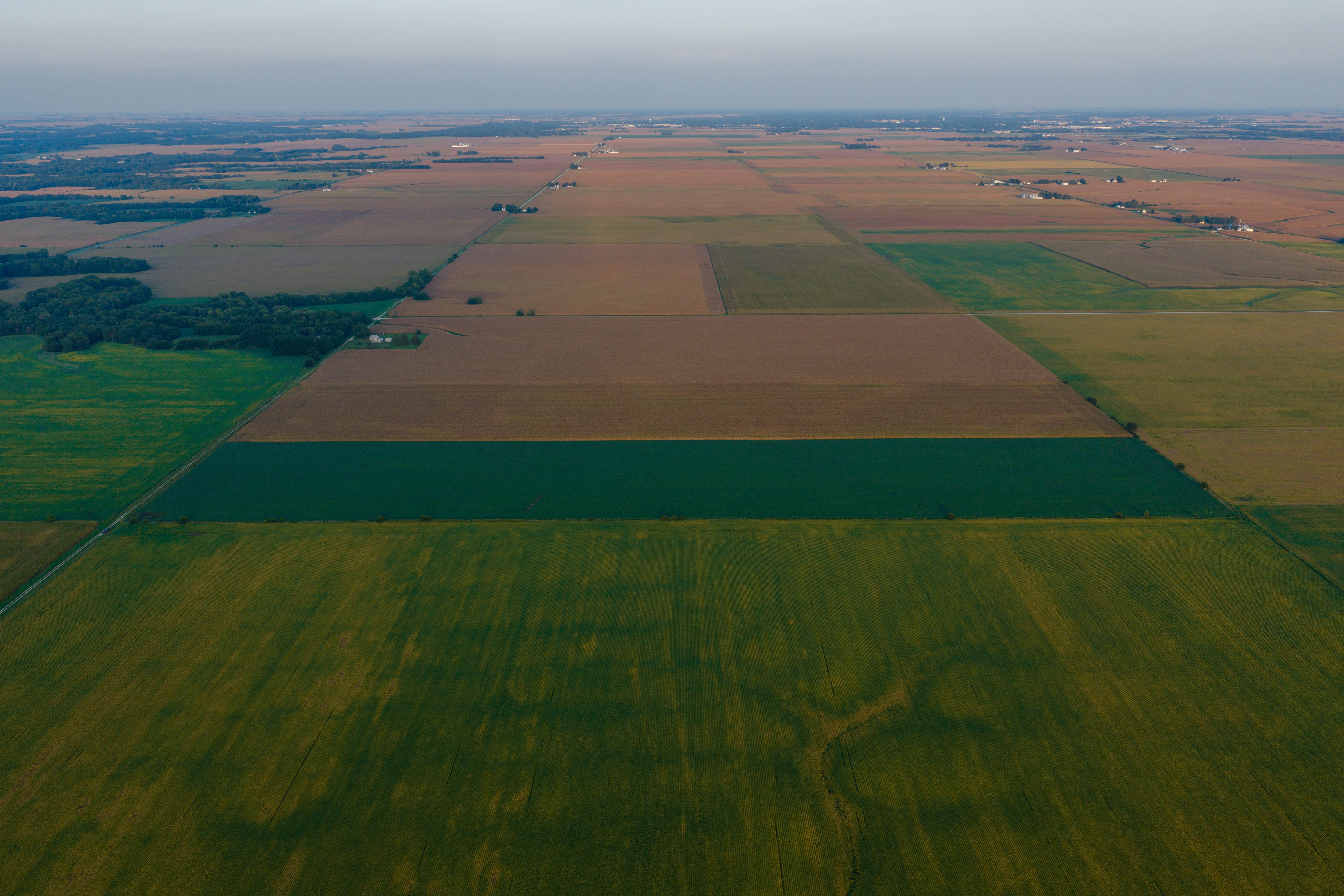 Listing Photo: 80.52-Acres-Warren-County-Illinois(9)