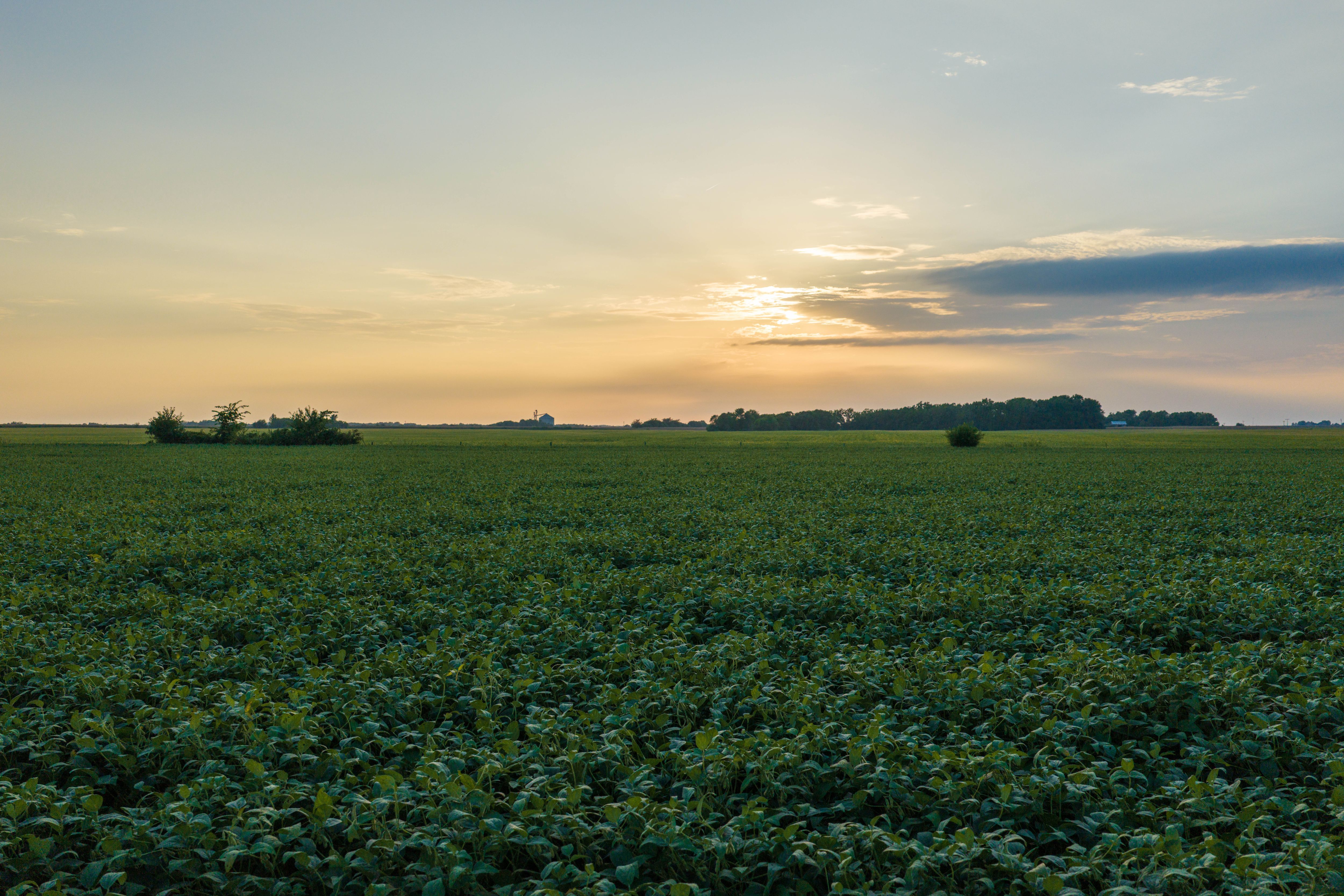 Listing Photo: 80.52-Acres-Warren-County-Illinois(10)