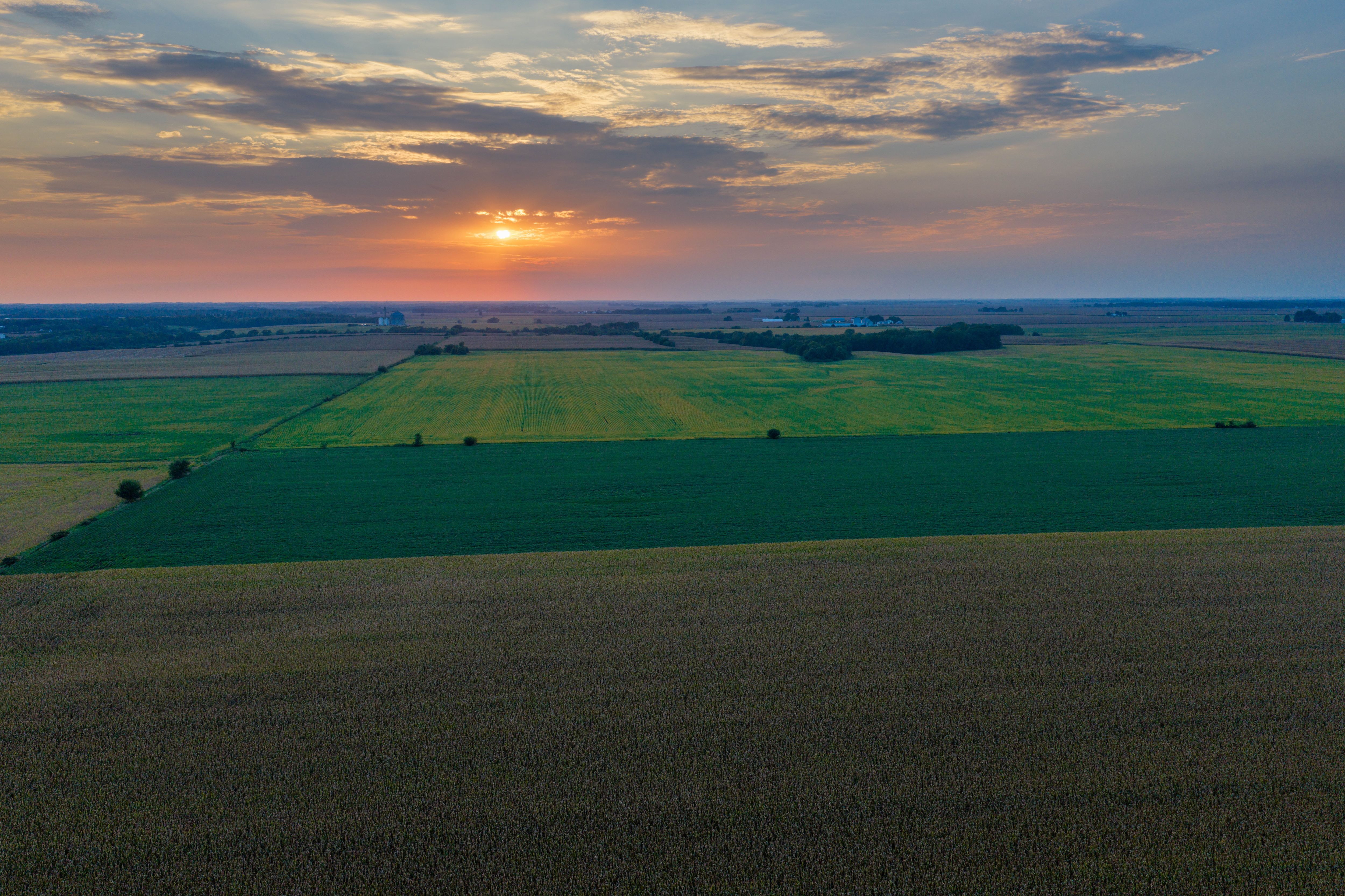 Listing Photo: 80.52-Acres-Warren-County-Illinois(16)