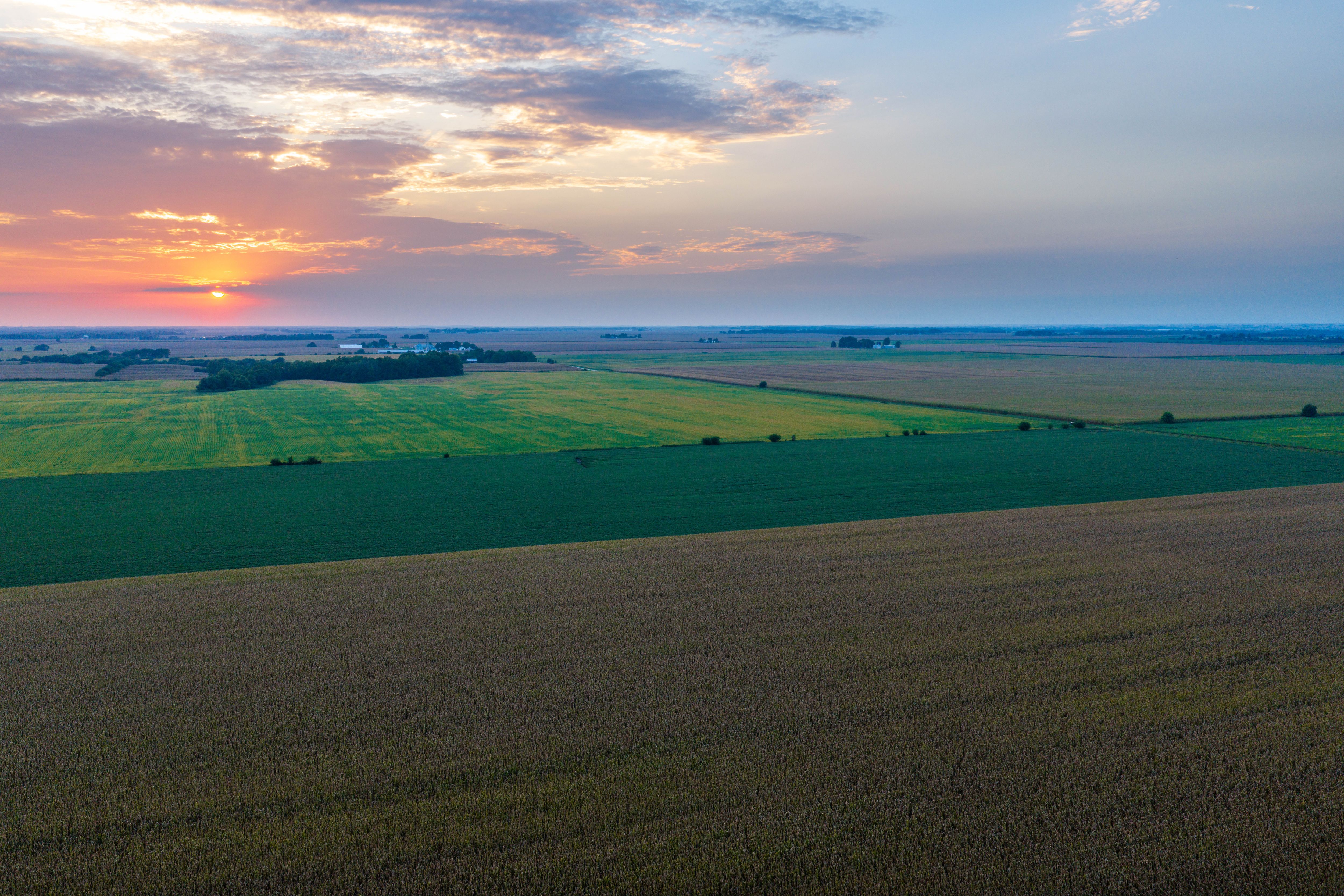 Listing Photo: 80.52-Acres-Warren-County-Illinois(20)