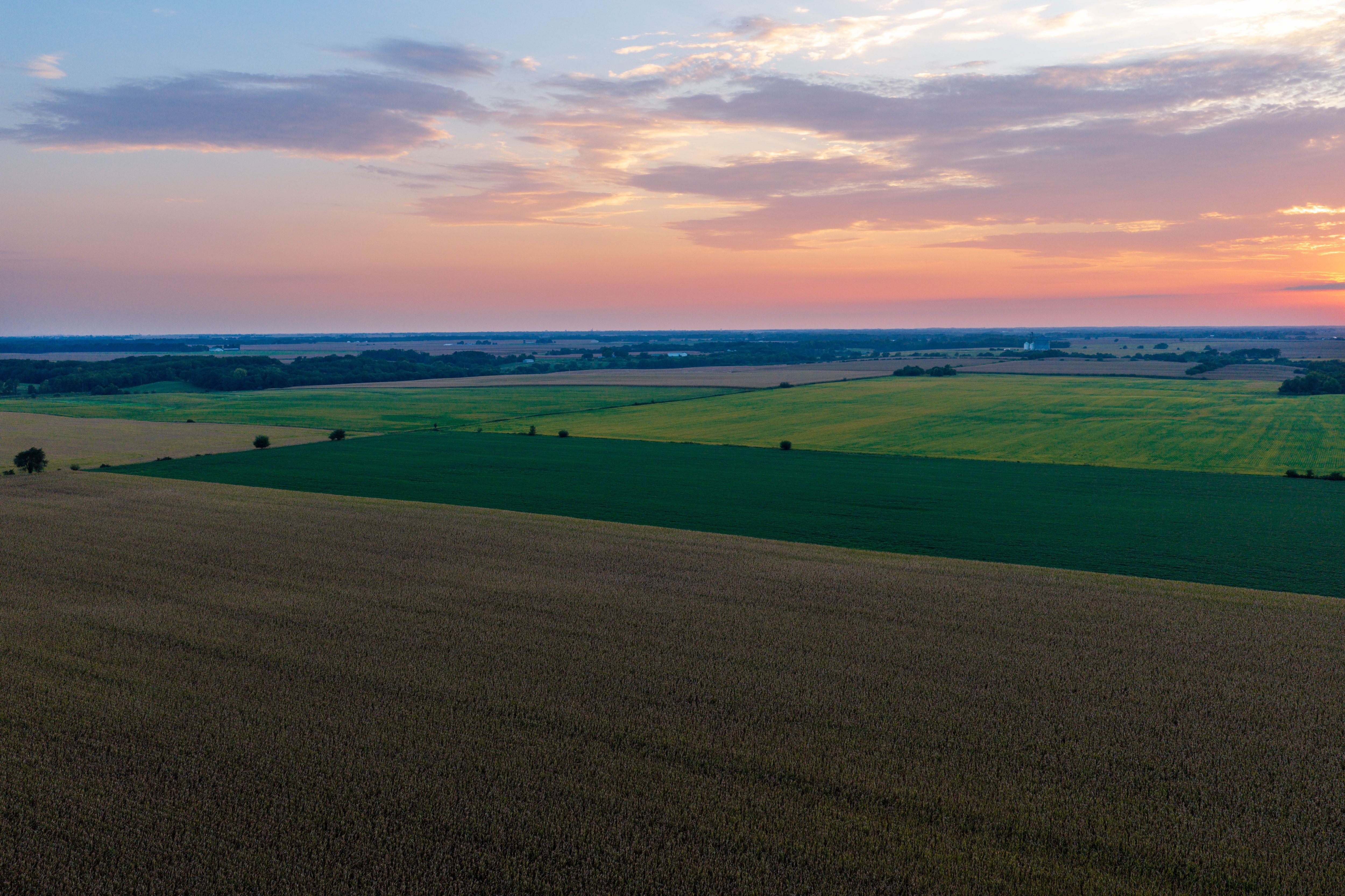 Listing Photo: 80.52-Acres-Warren-County-Illinois(21)
