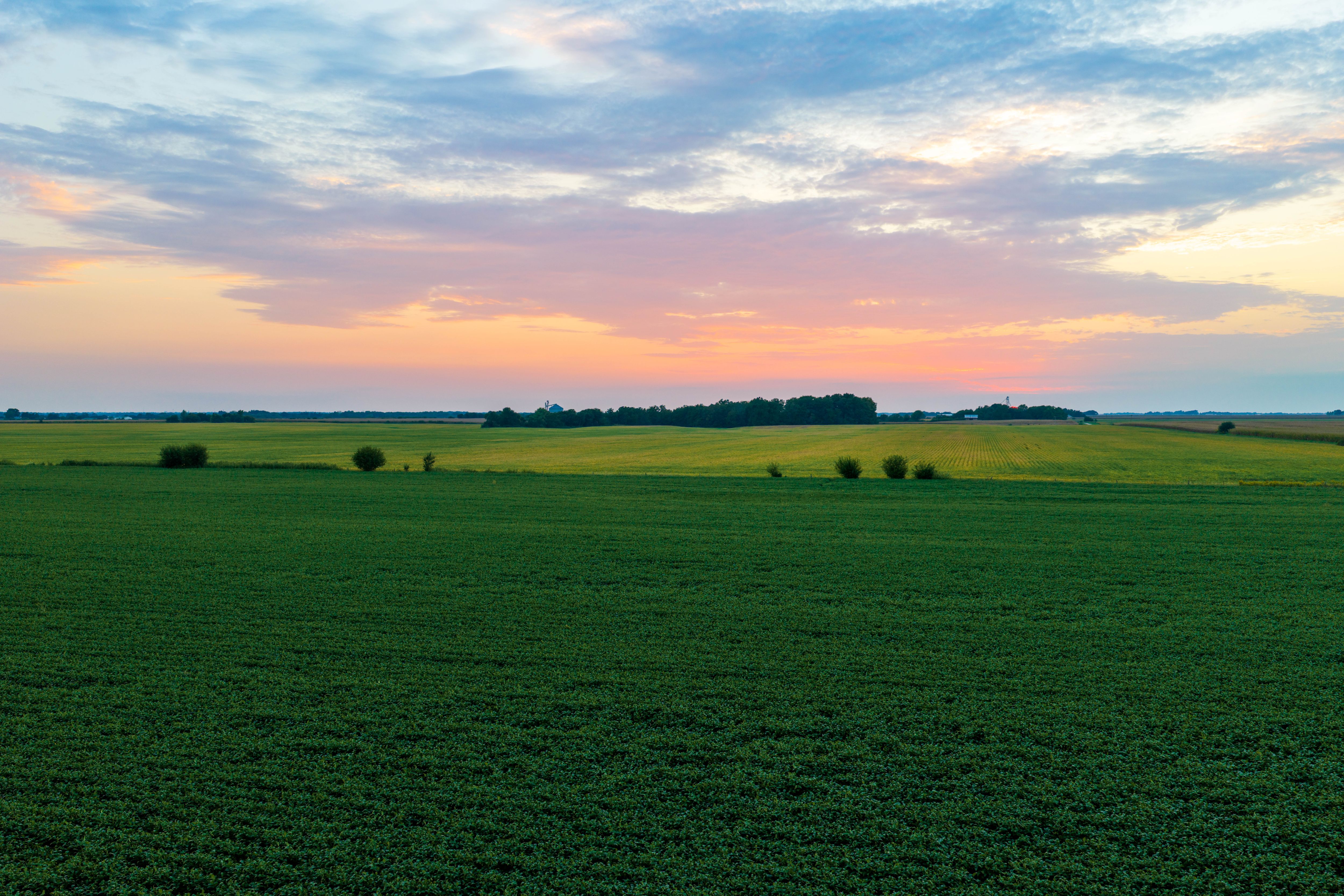 Listing Photo: 80.52-Acres-Warren-County-Illinois(23)
