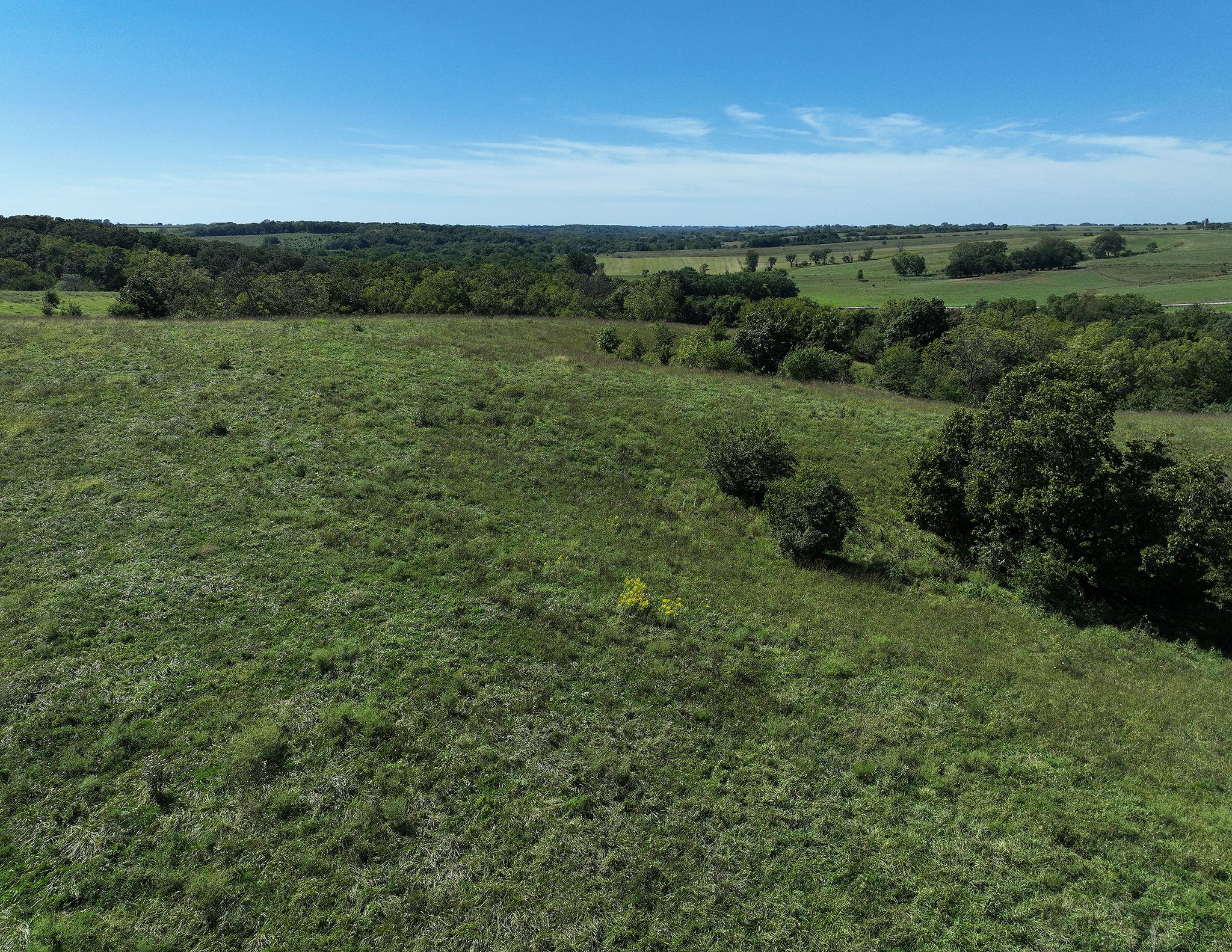 Listing Photo: DJI_0804