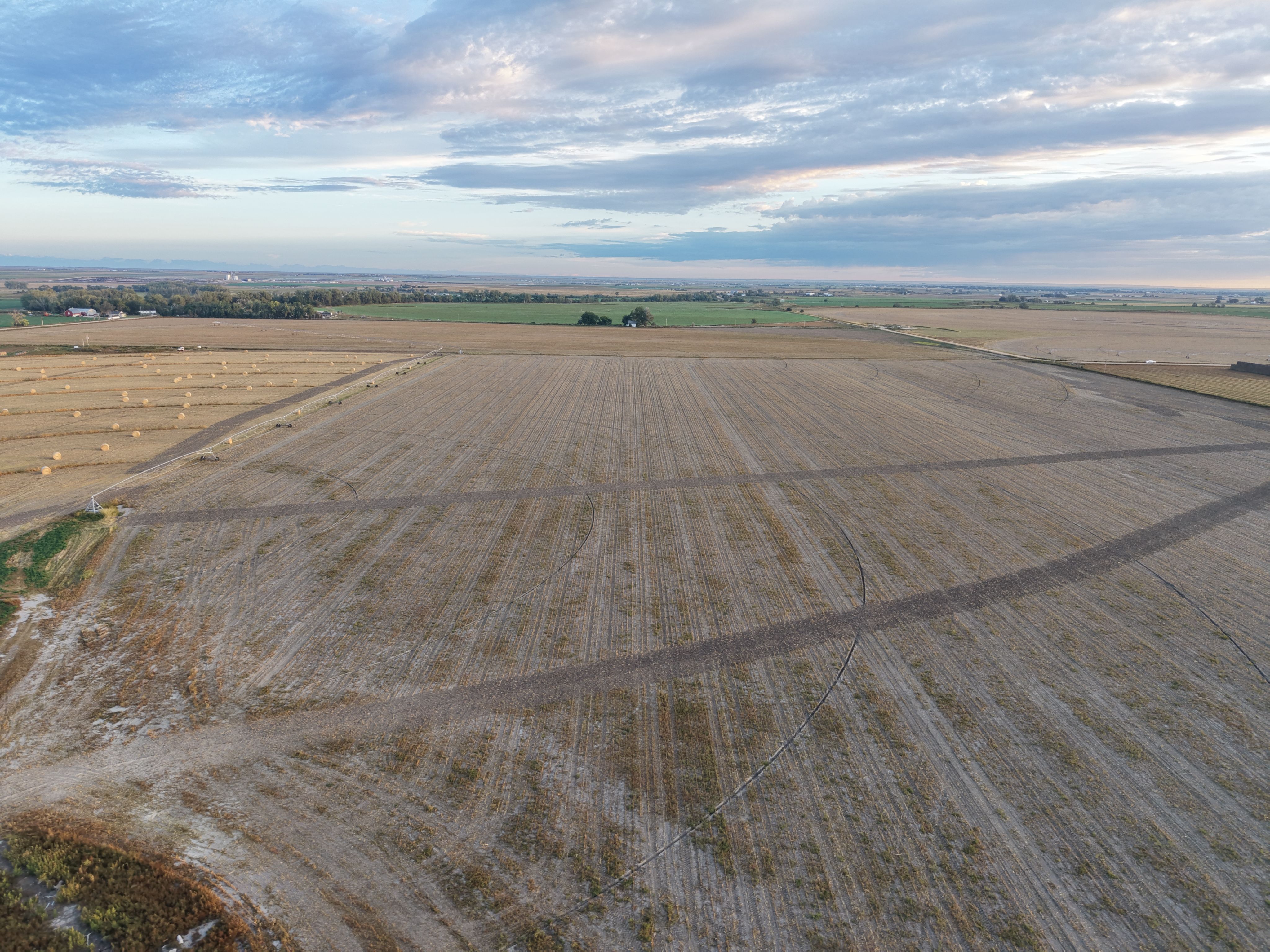 Listing Photo: DJI_20260927070640_0563_D