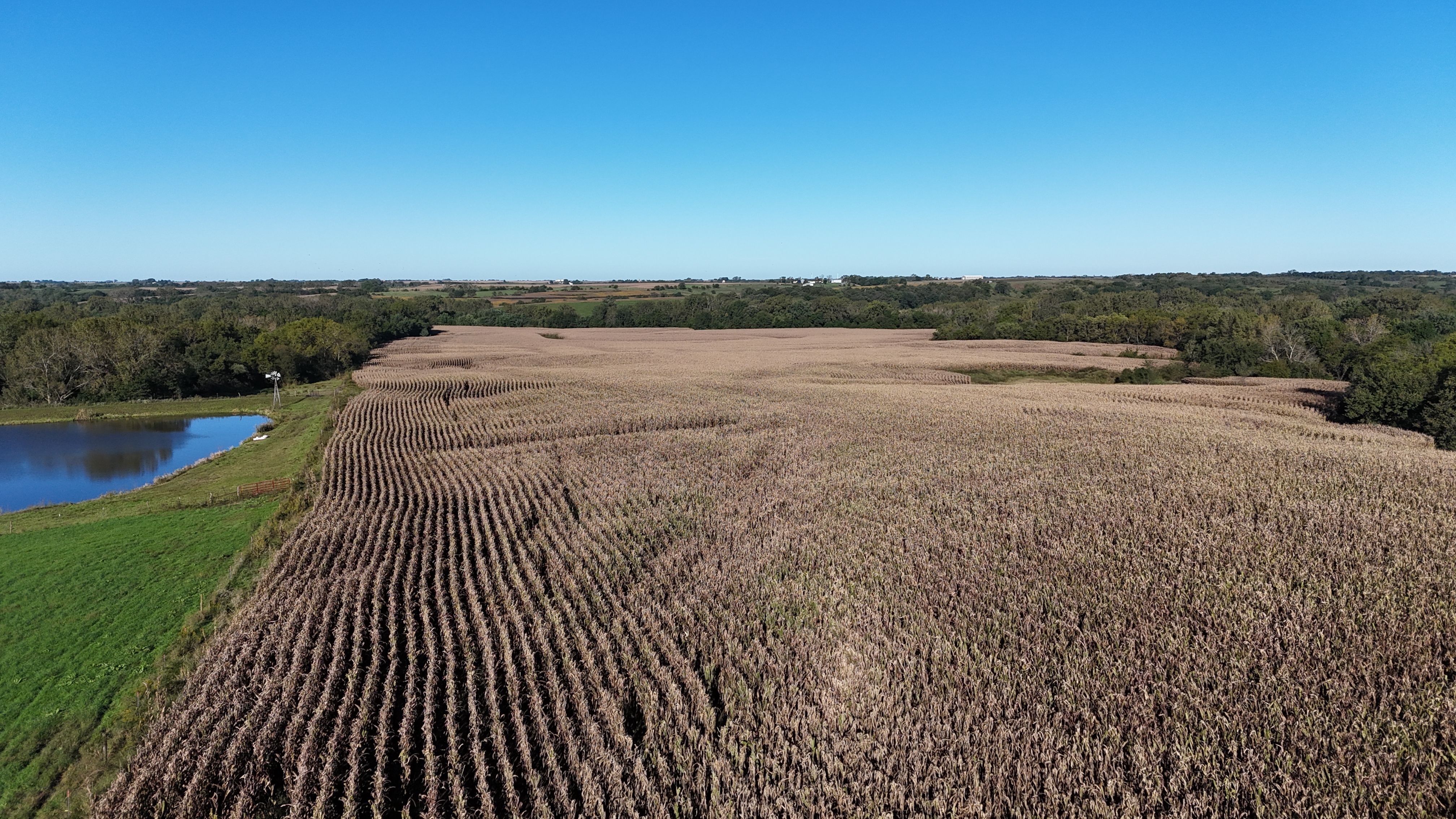 Listing Photo: DJI_20261002092546_0007_D
