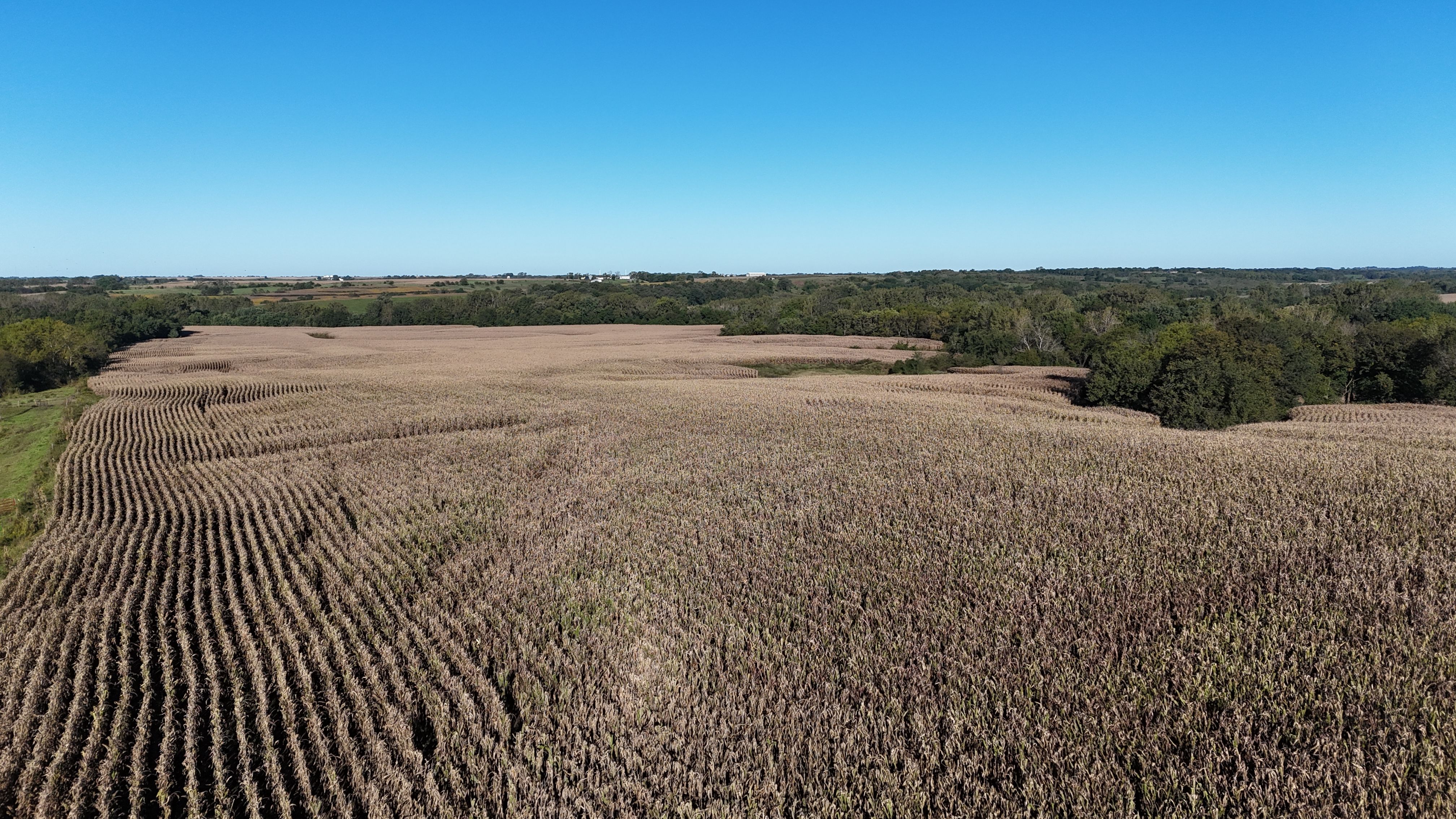 Listing Photo: DJI_20261002092550_0008_D