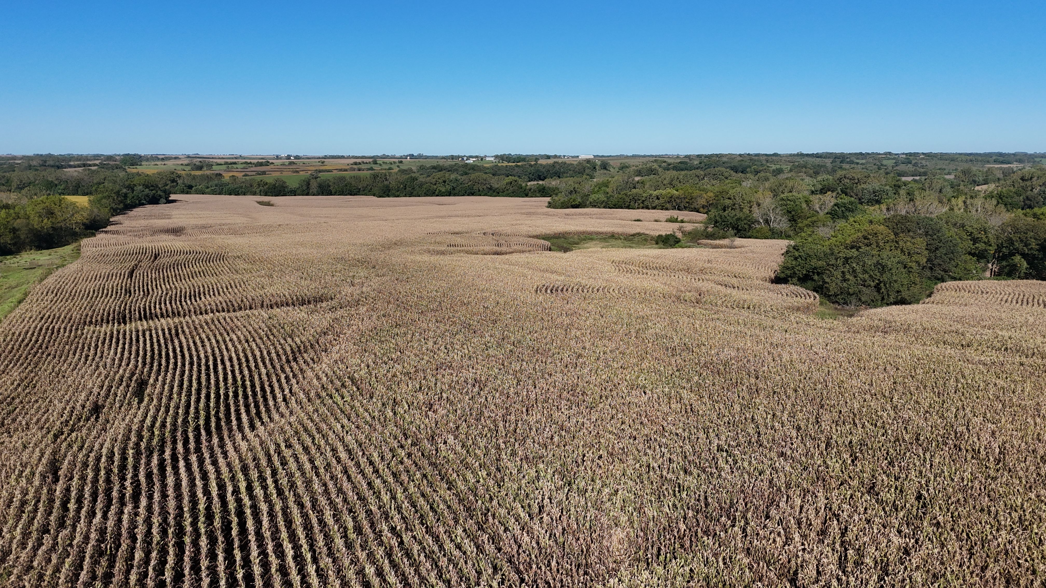 Listing Photo: DJI_20261002095438_0028_D