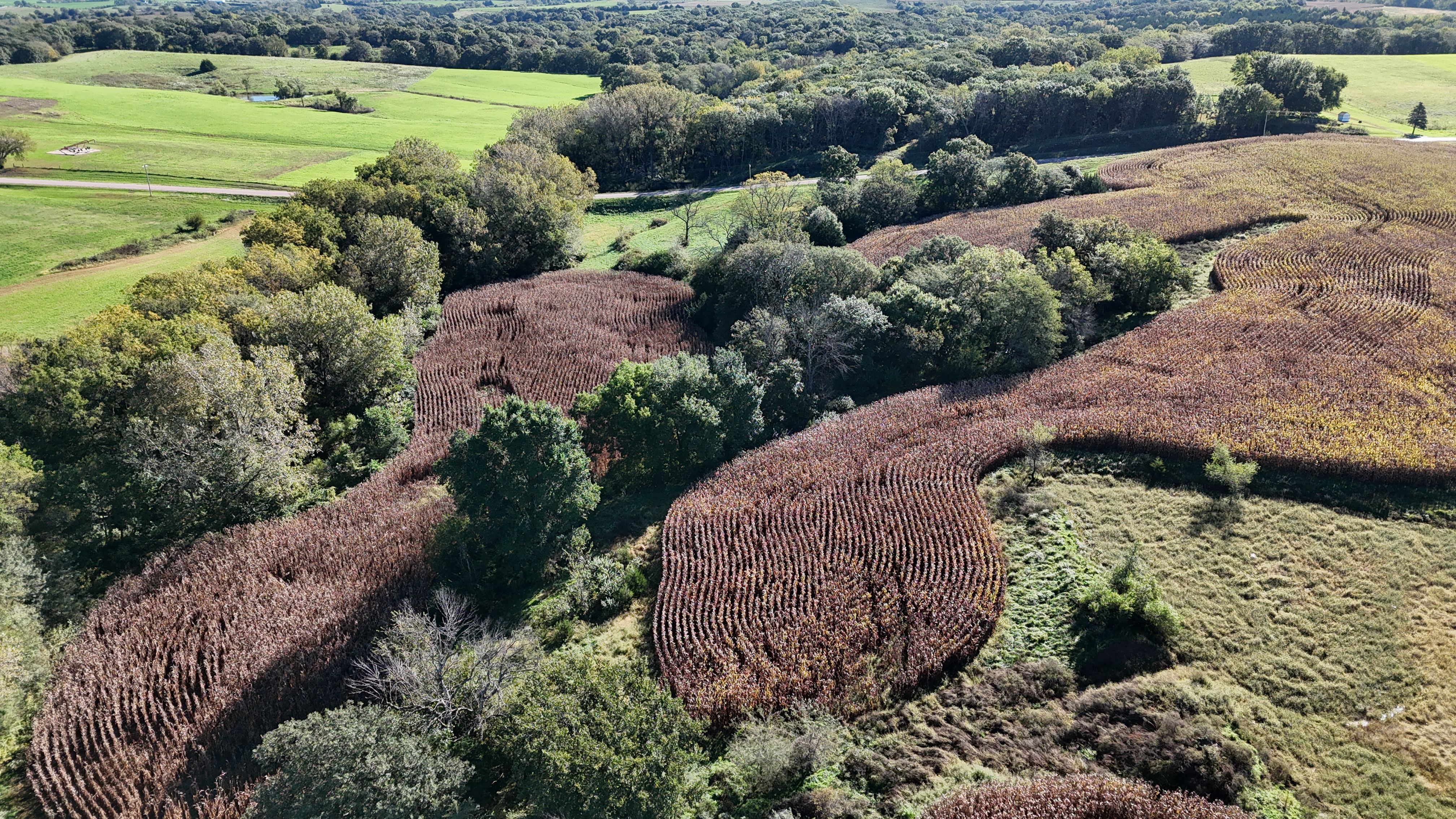 Listing Photo: DJI_20261002095527_0031_D