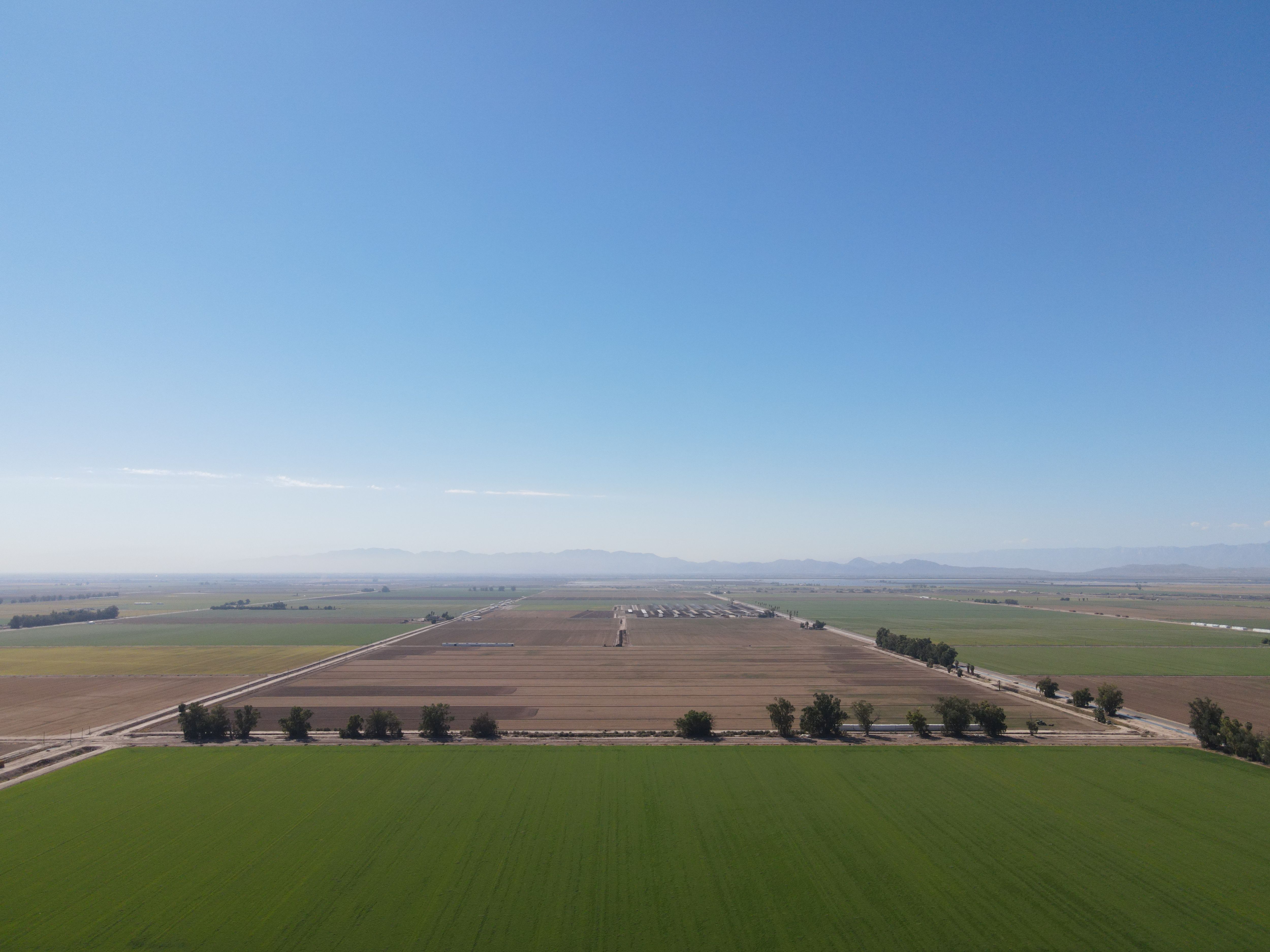 Listing Photo: Dahlia-9-Imperial-Farmland-For-Sale