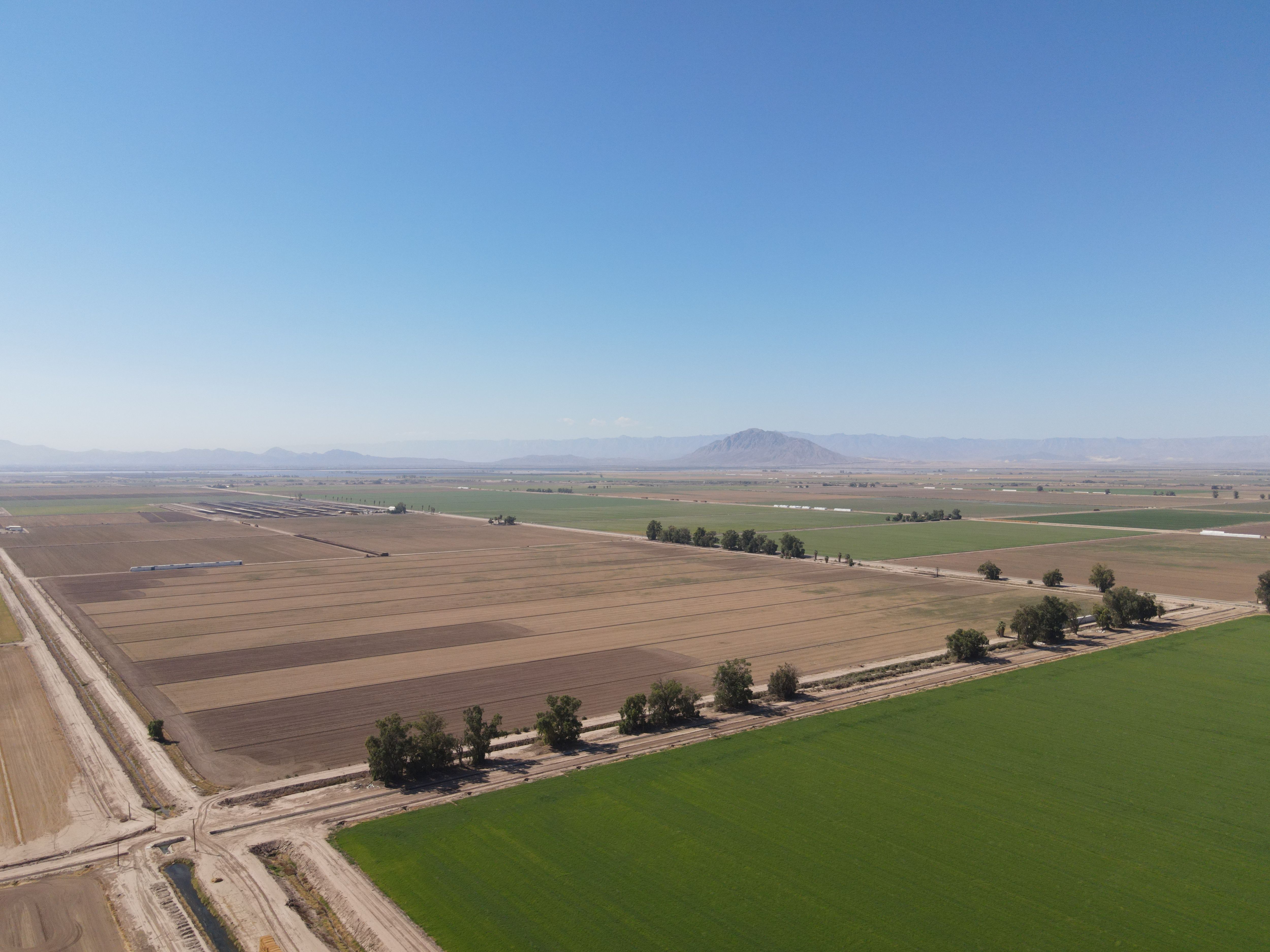 Listing Photo: Dahlia-9-Imperial-Farmland-For-Sale