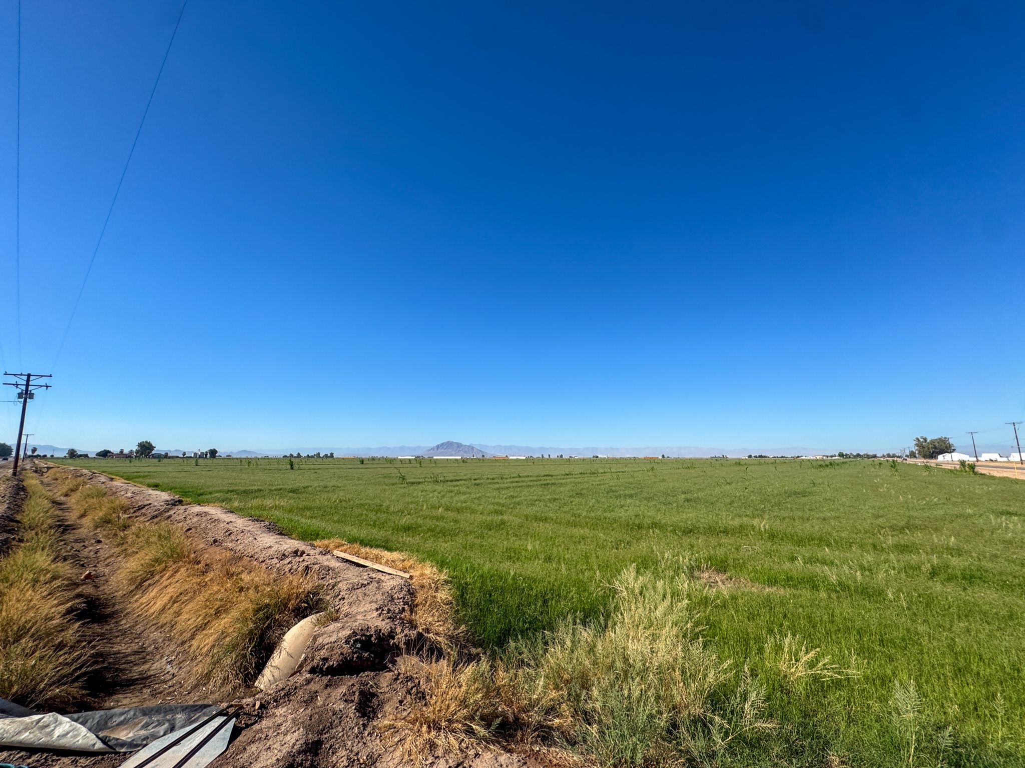 Listing Photo: Dahlia-21A-Imperial-Farmland-For-Sale