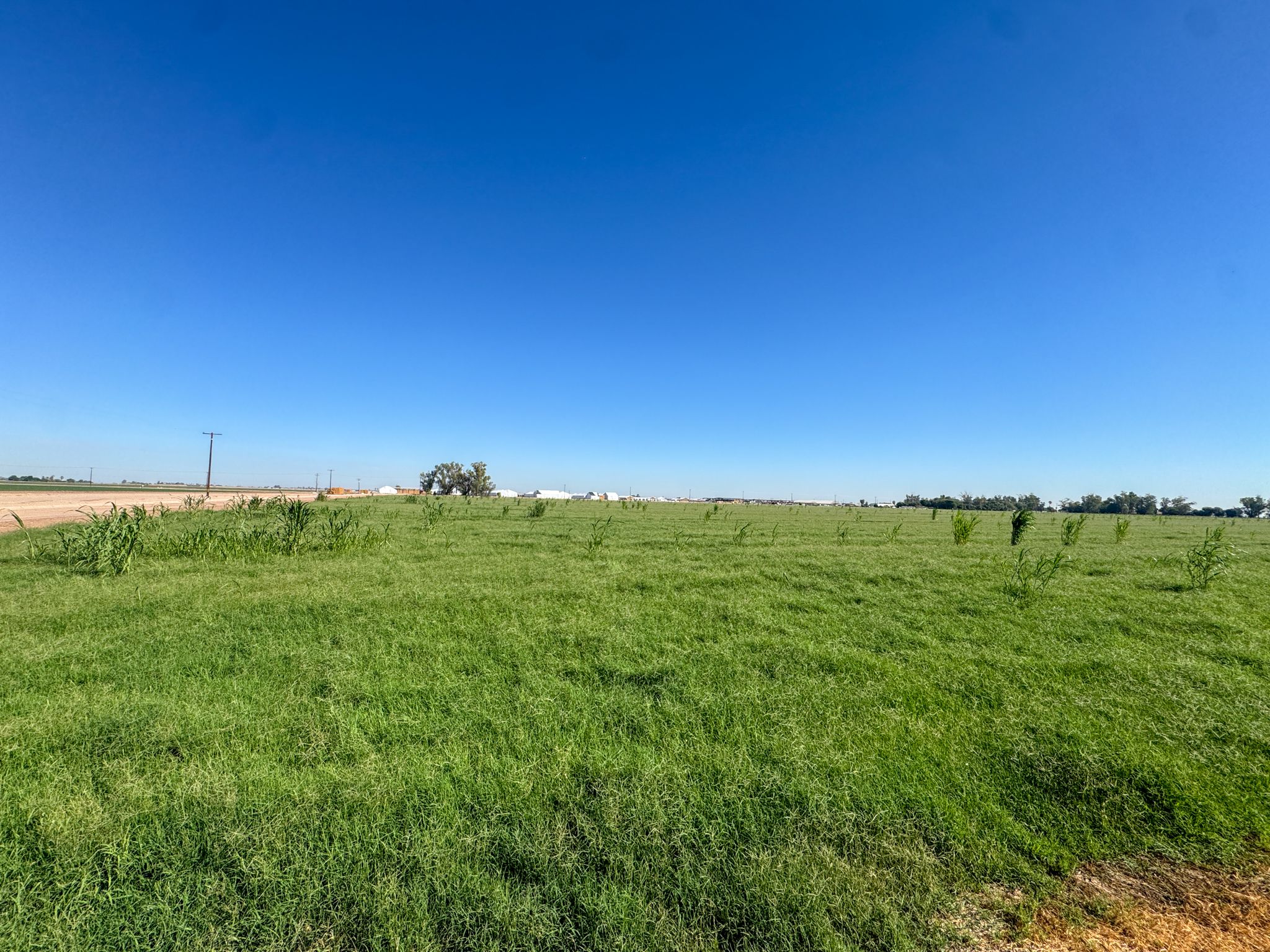 Listing Photo: Dahlia-21A-Imperial-Farmland-For-Sale