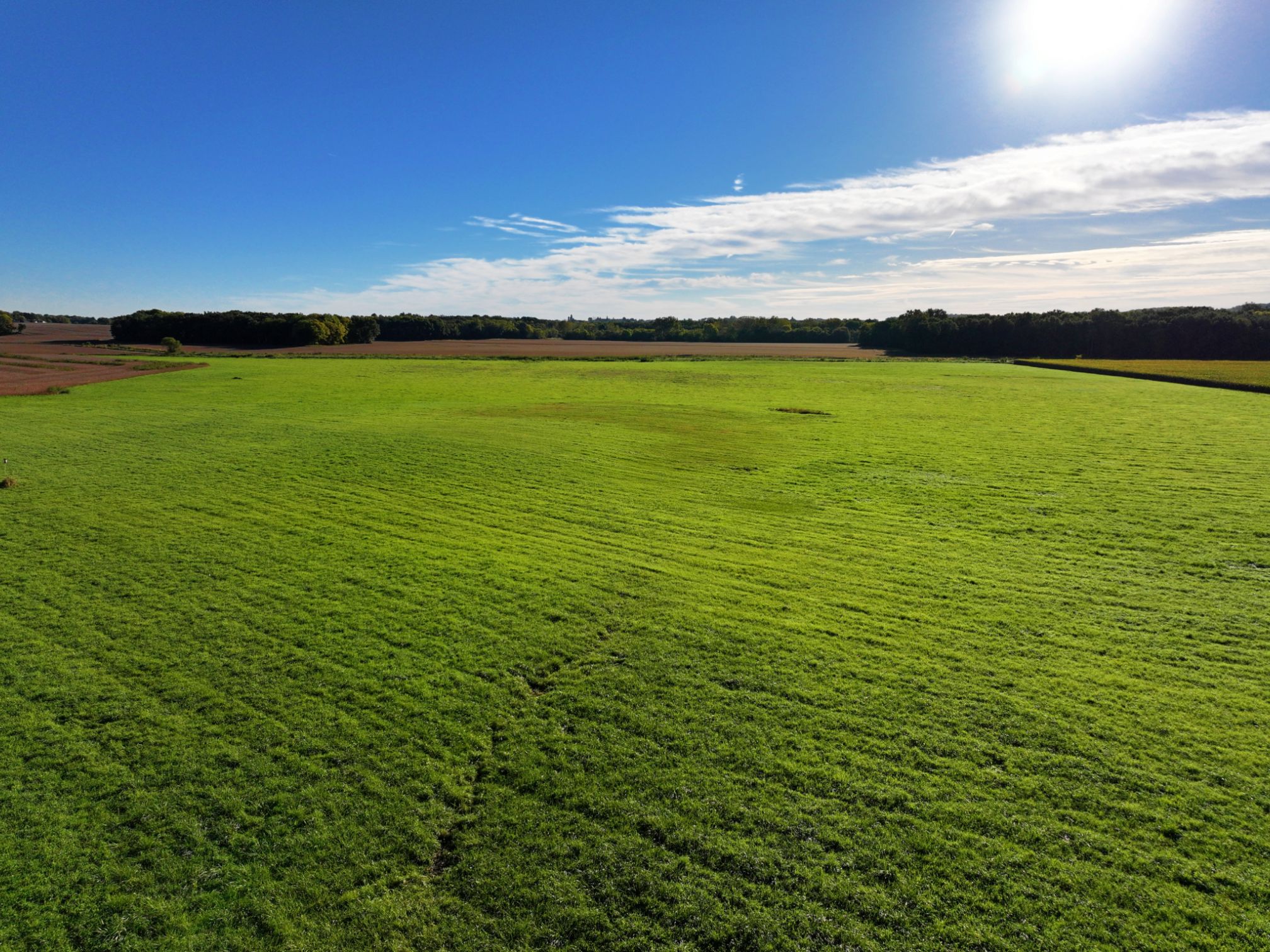 Listing Photo: DJI_20260912144225_0056_D