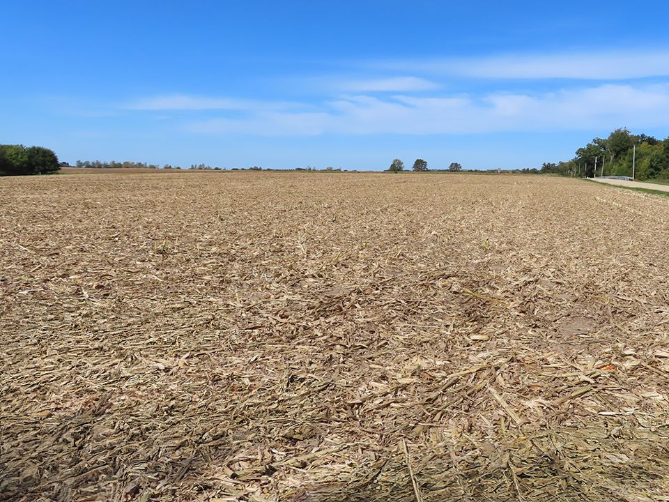 Listing Photo: Creek Road Farm looking north