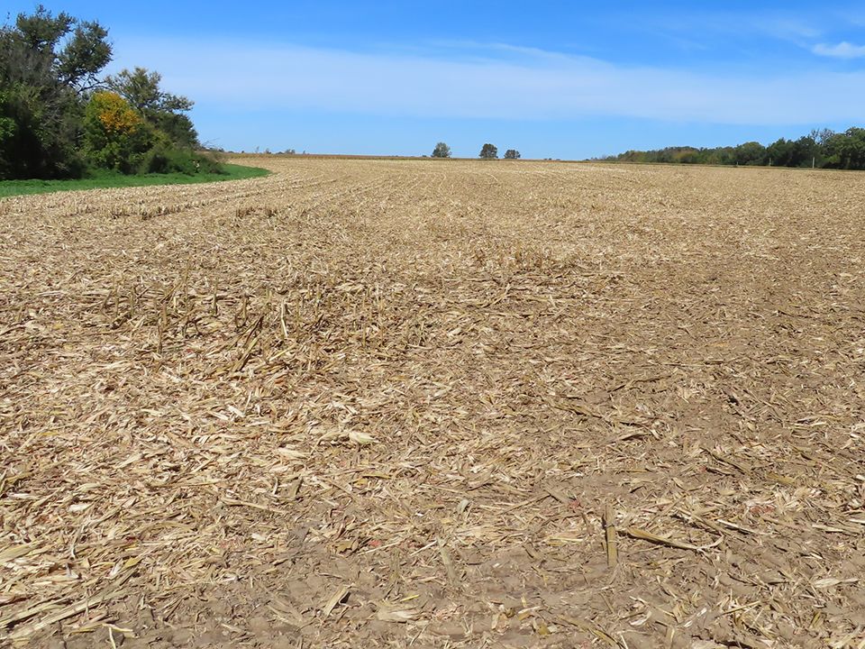 Listing Photo: Creek Road Farm looking south