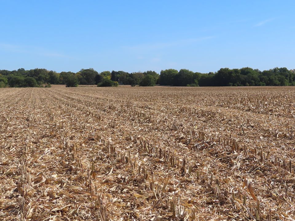 Listing Photo: Creek Road Farm looking east