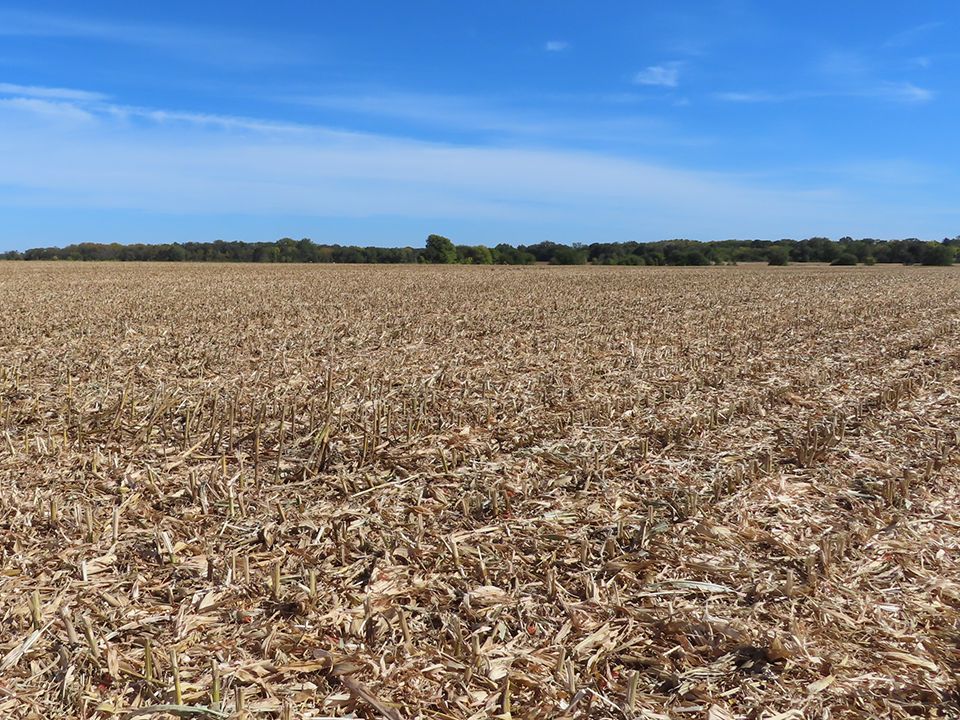 Listing Photo: Creek Road Farm looking northeast