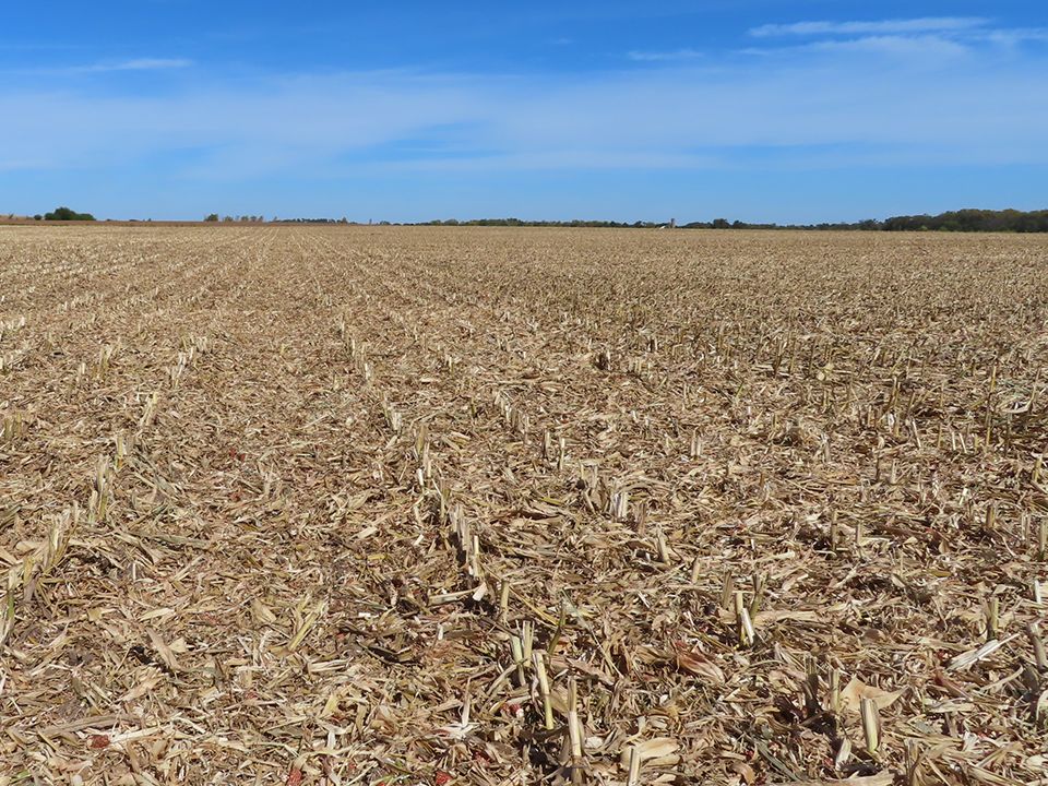 Listing Photo: Creek Road Farm looking north