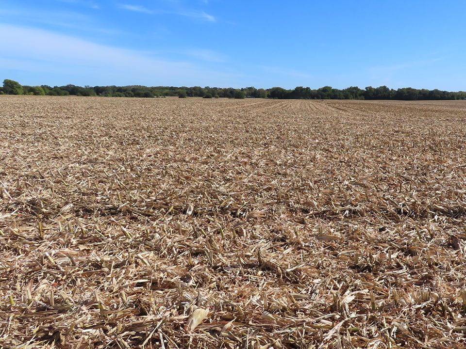 Listing Photo: Creek Road Farm looking east