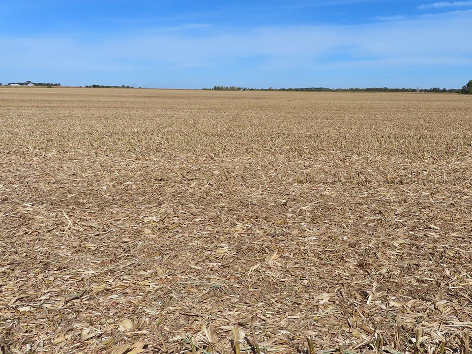 Listing Photo: Creek Road Farm looking north