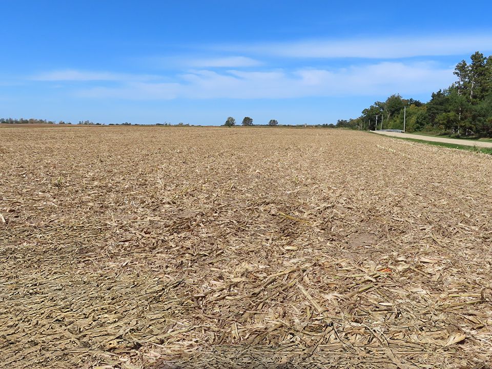 Listing Photo: Creek Road Farm looking north