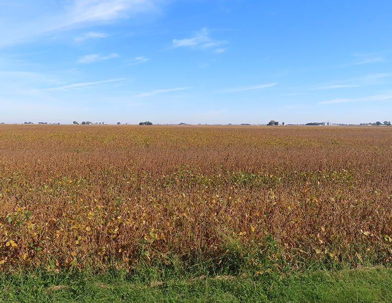 Listing Photo: Freise Trust Farm, looking north
