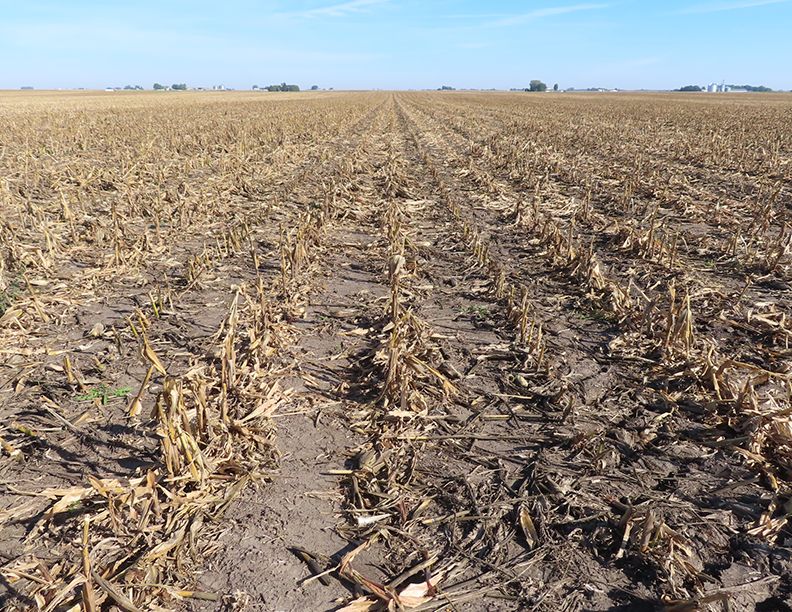 Listing Photo: Freise Trust Farm, looking north