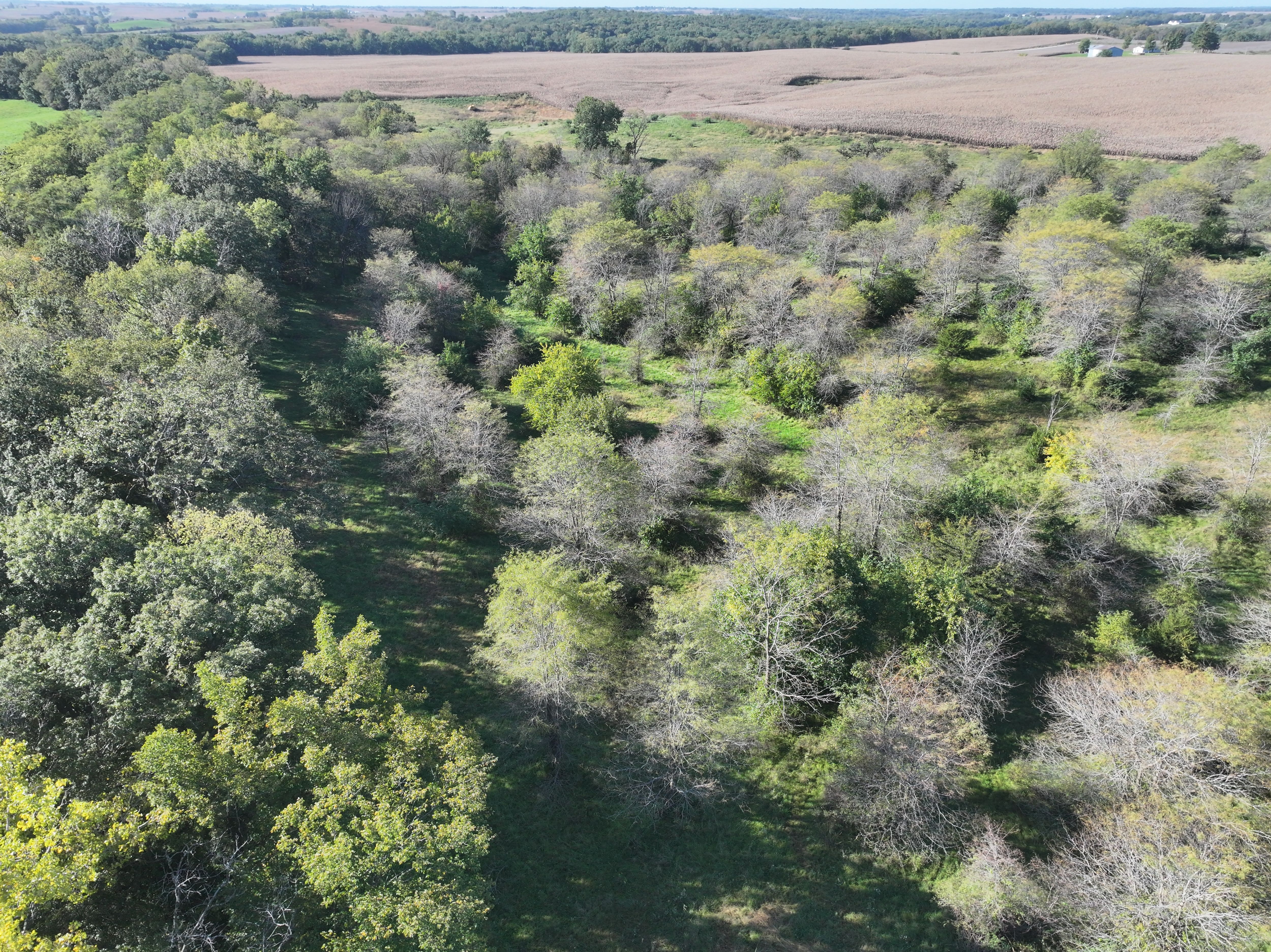 Listing Photo: DJI_20261006093945_0985_D