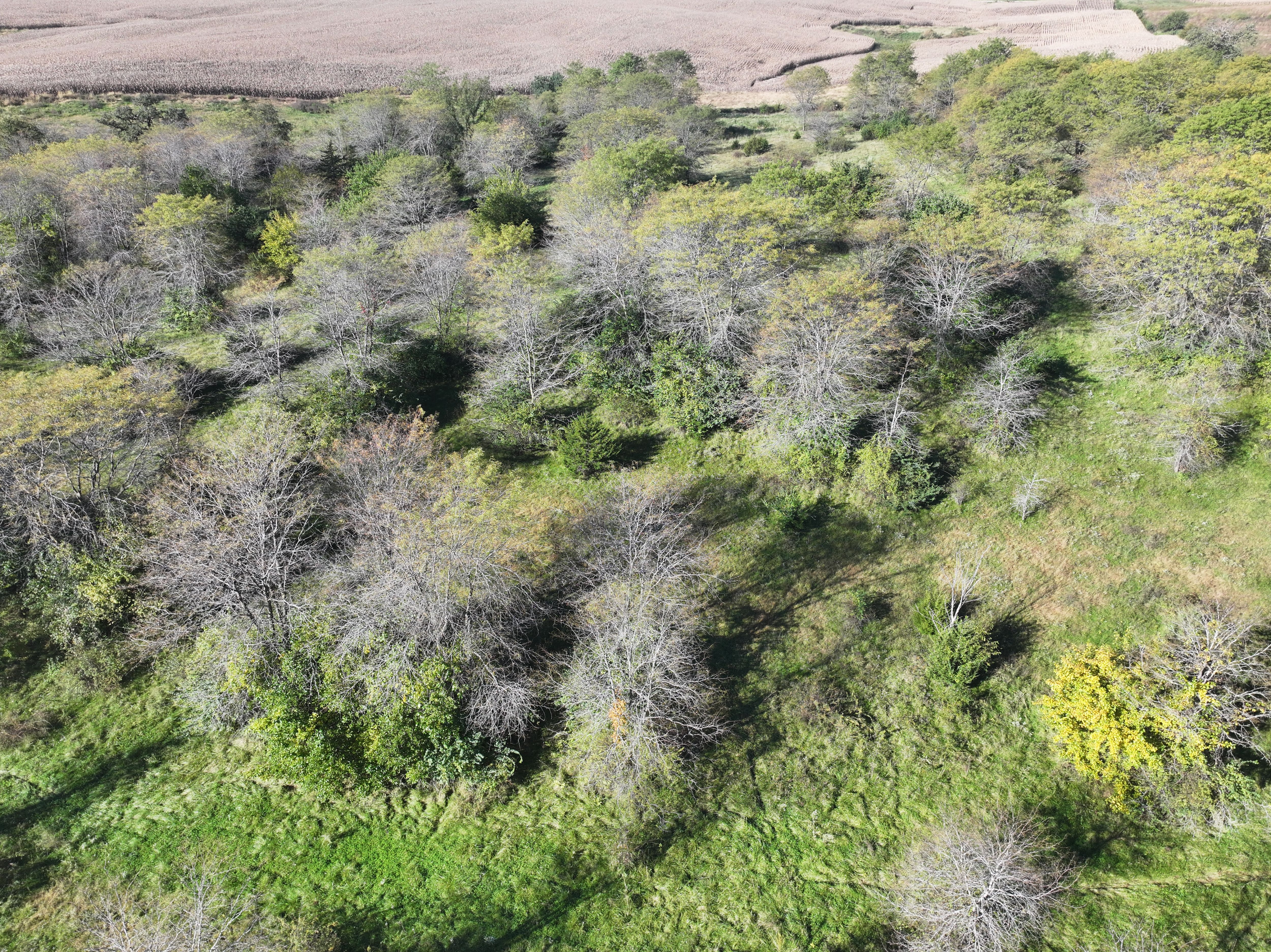 Listing Photo: DJI_20261006094003_0987_D