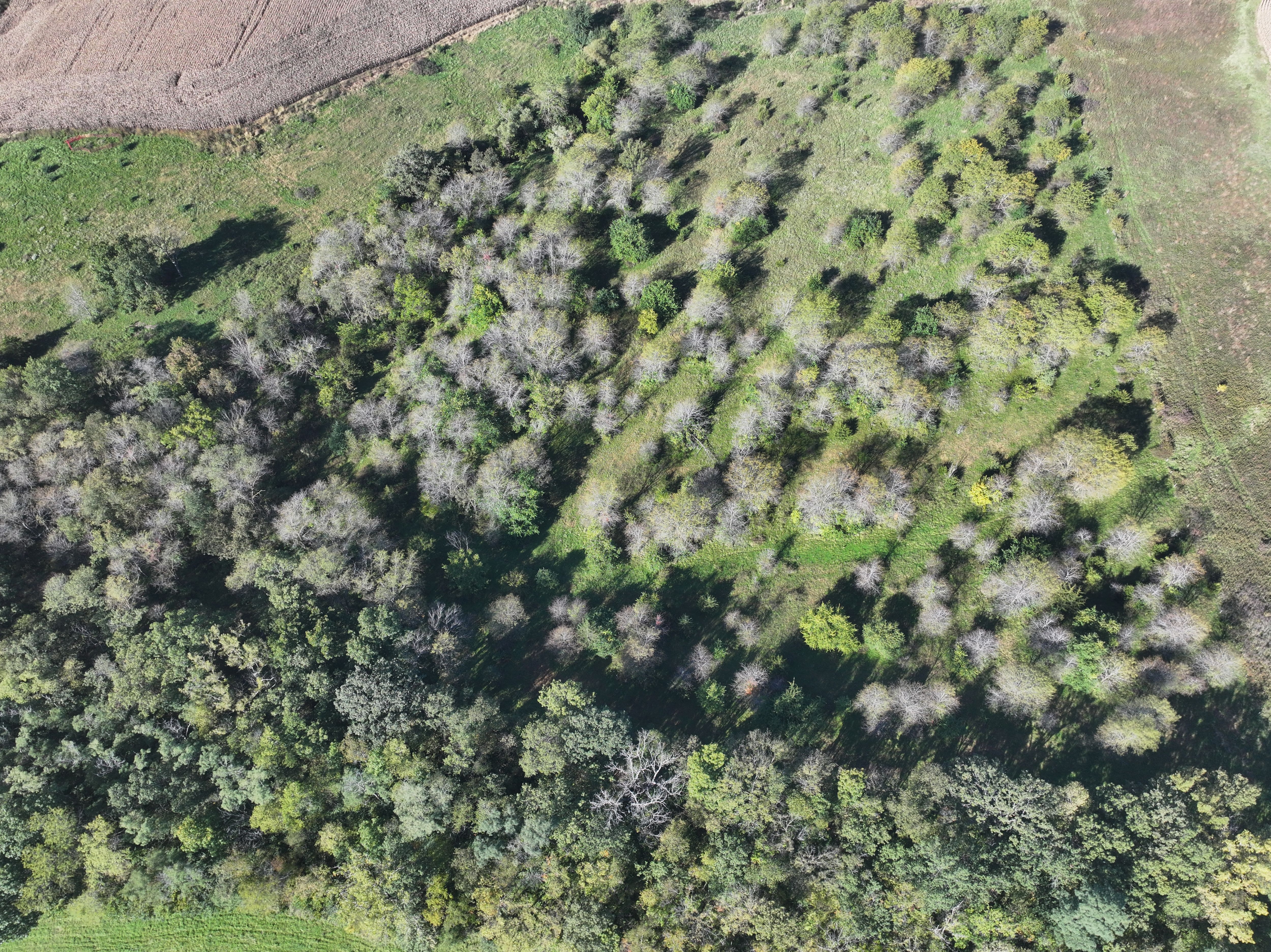 Listing Photo: DJI_20261006094051_0990_D