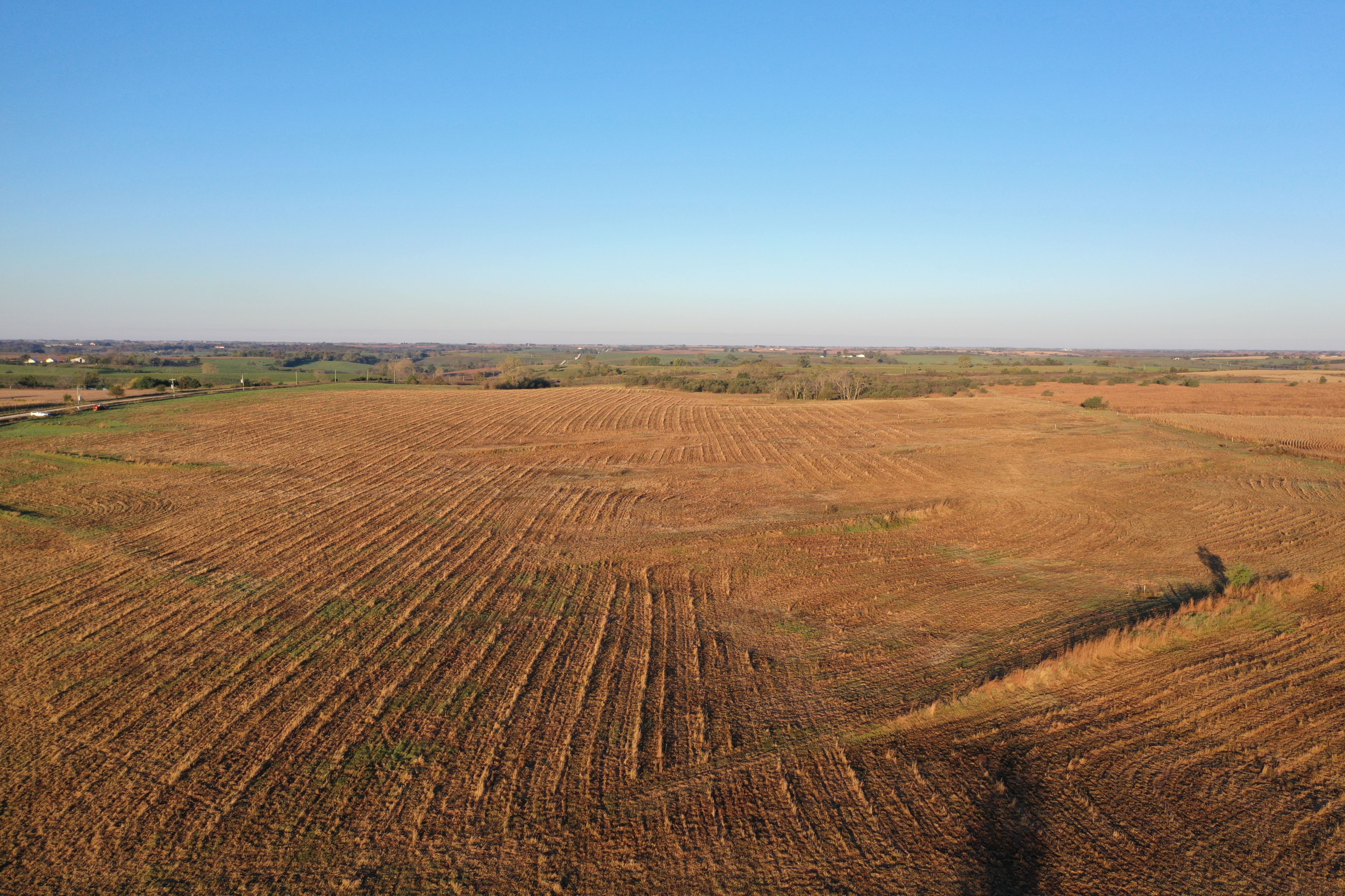 Listing Photo: DJI_0379