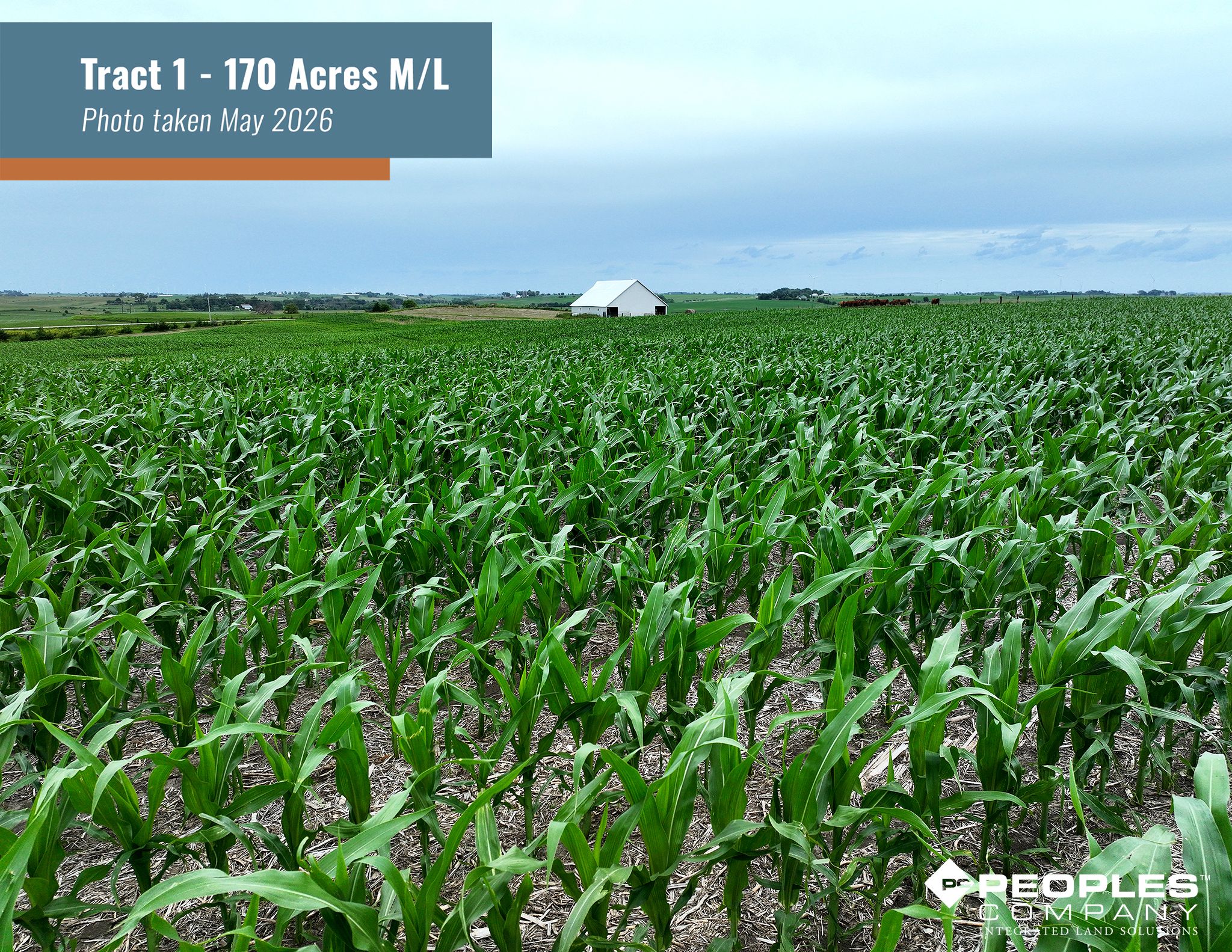Tract 1